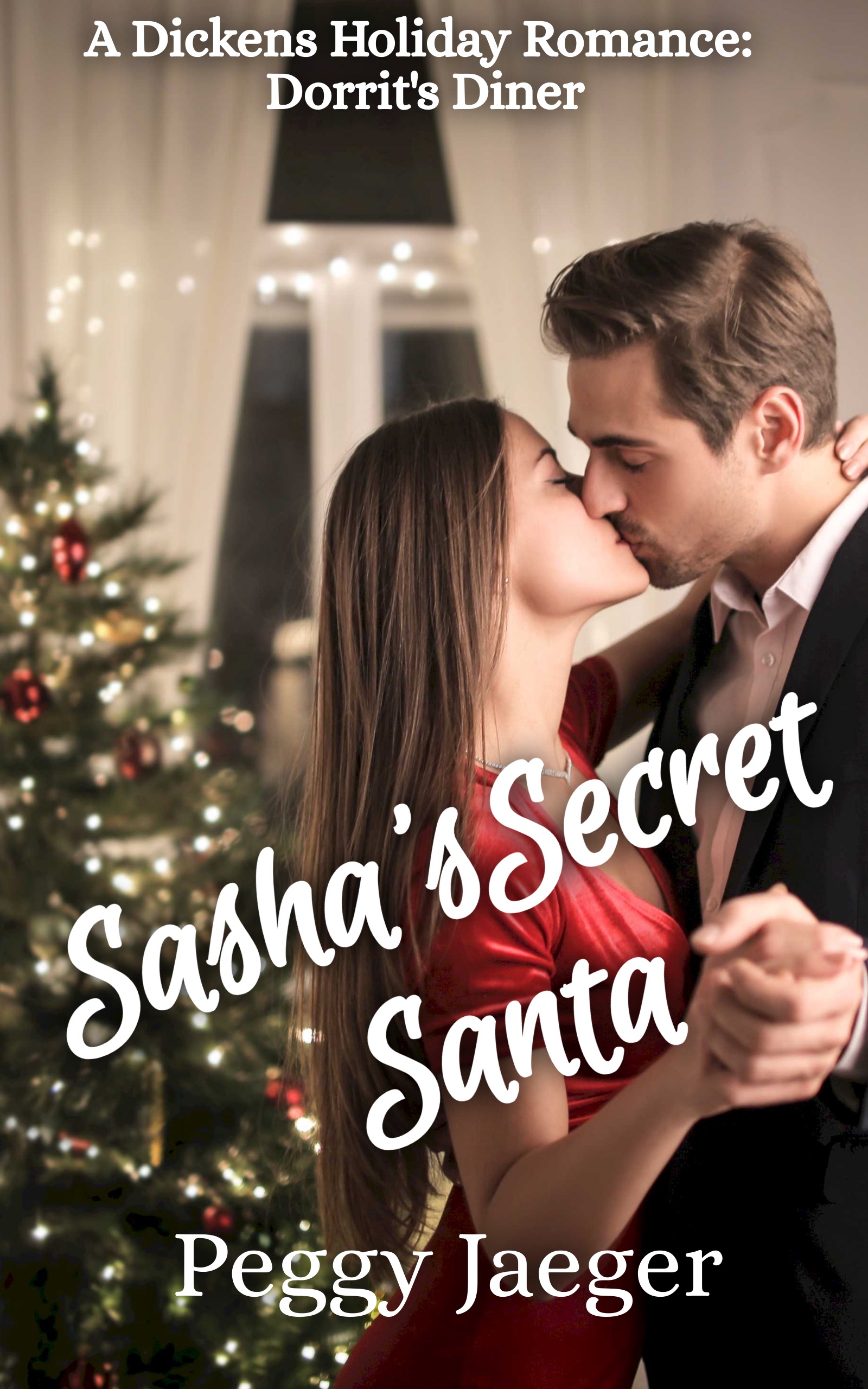 Sasha's Secret Santa book cover