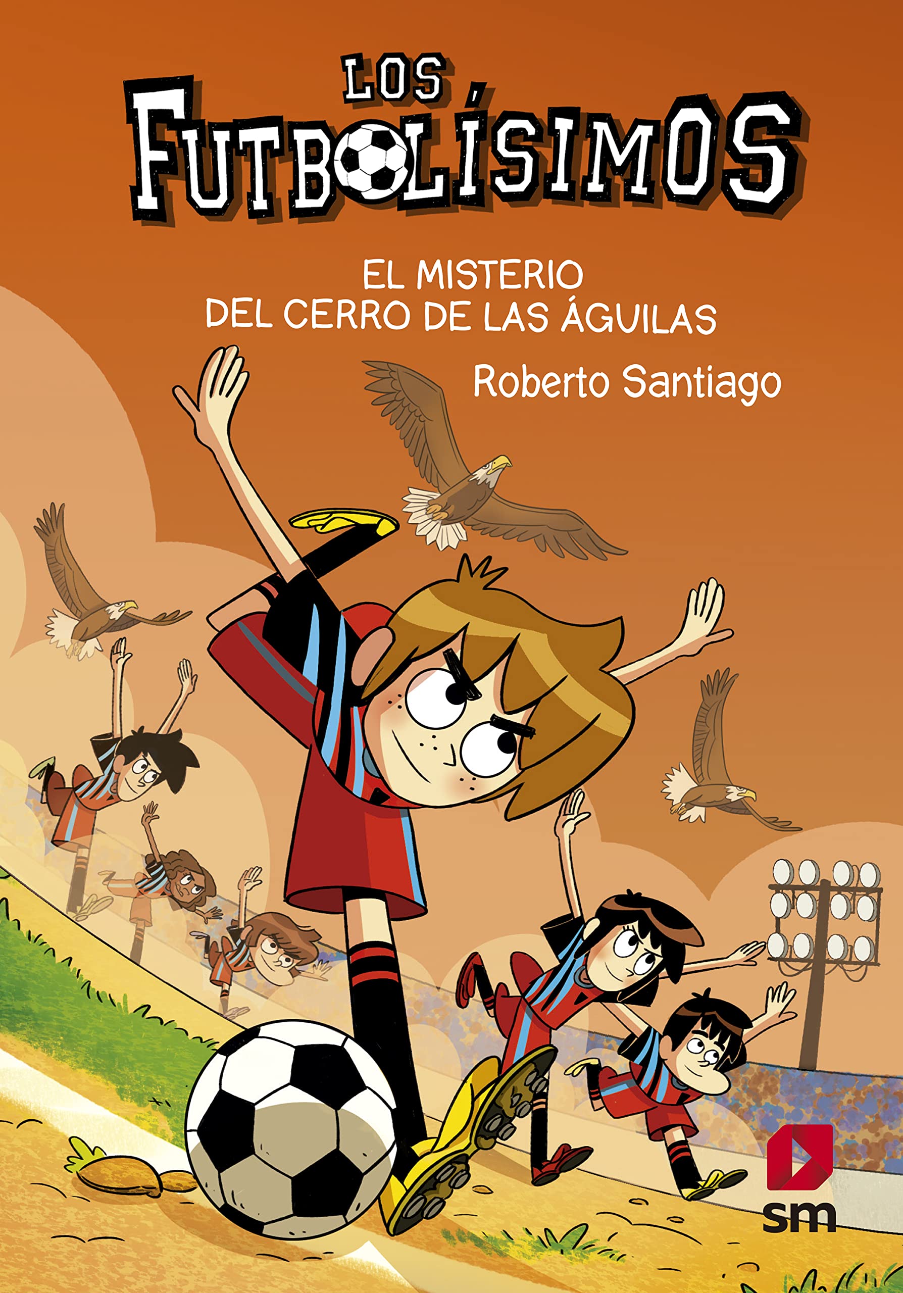 El misterio del Cerro de las Águilas book cover