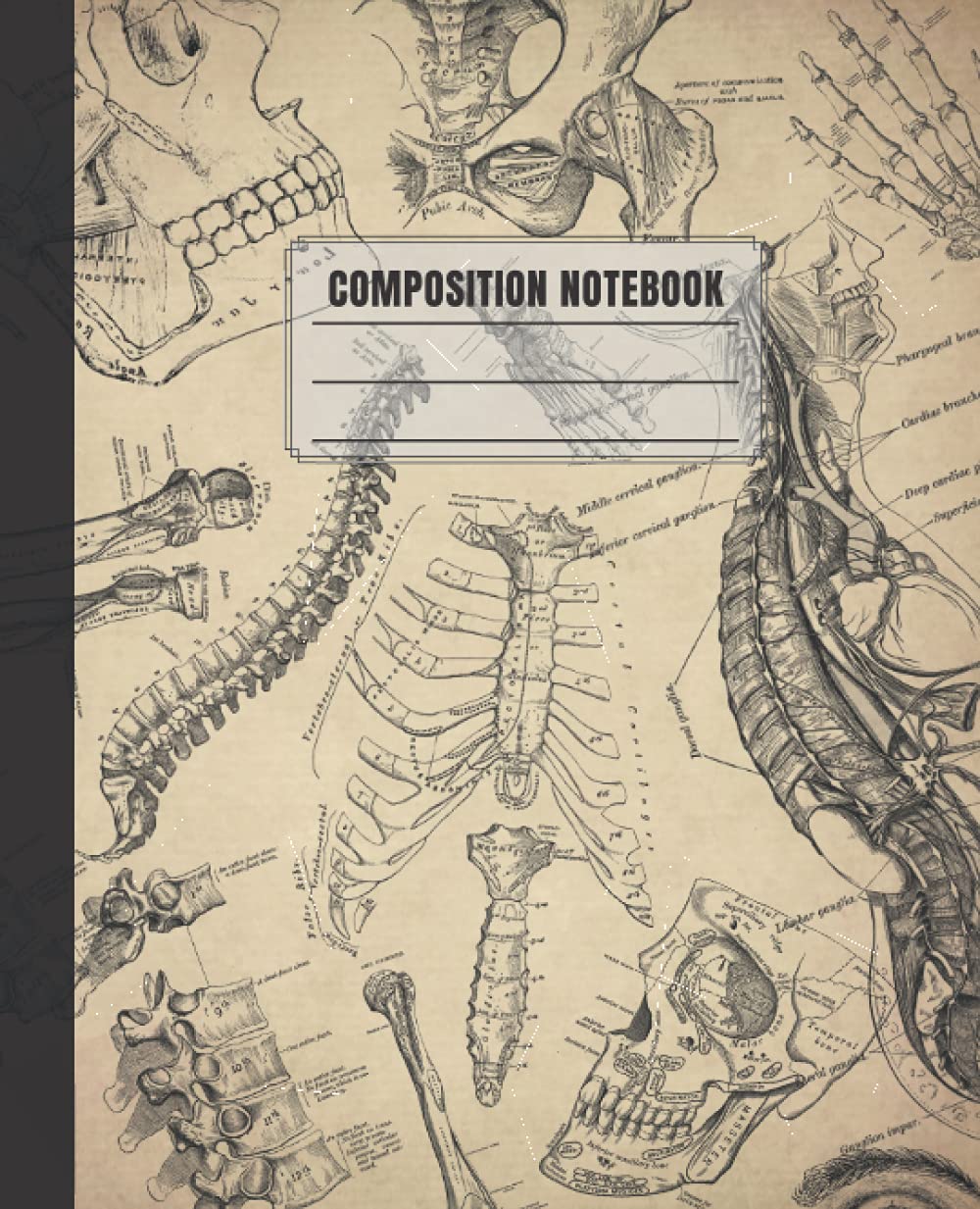 Vintage Human Anatomy Composition Notebook WideRuled Book, 110 Pages