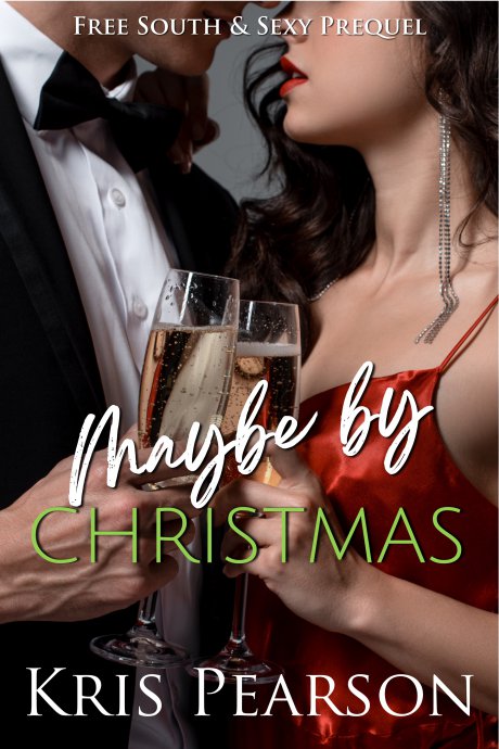 South & Sexy book cover 1