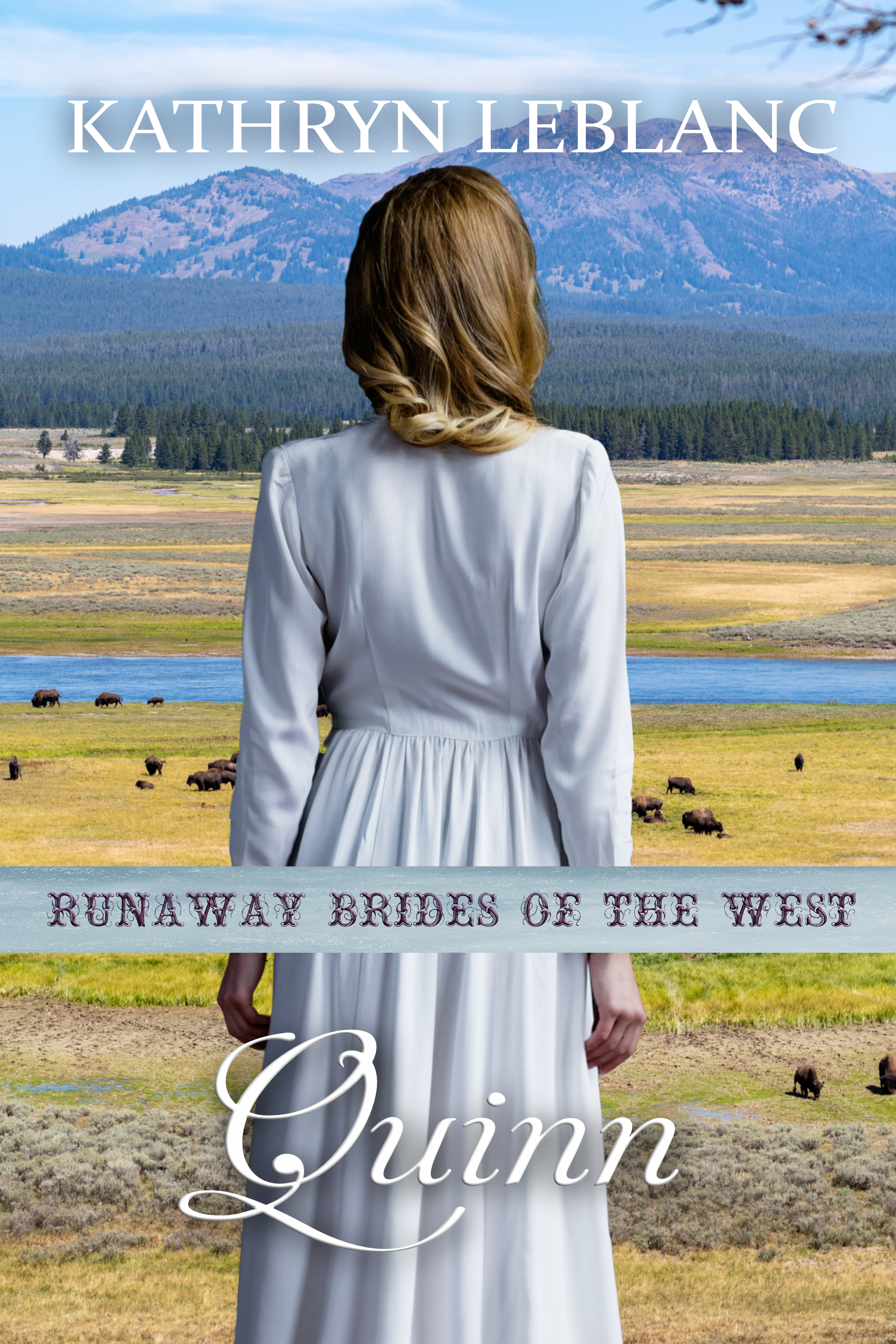 Quinn book cover