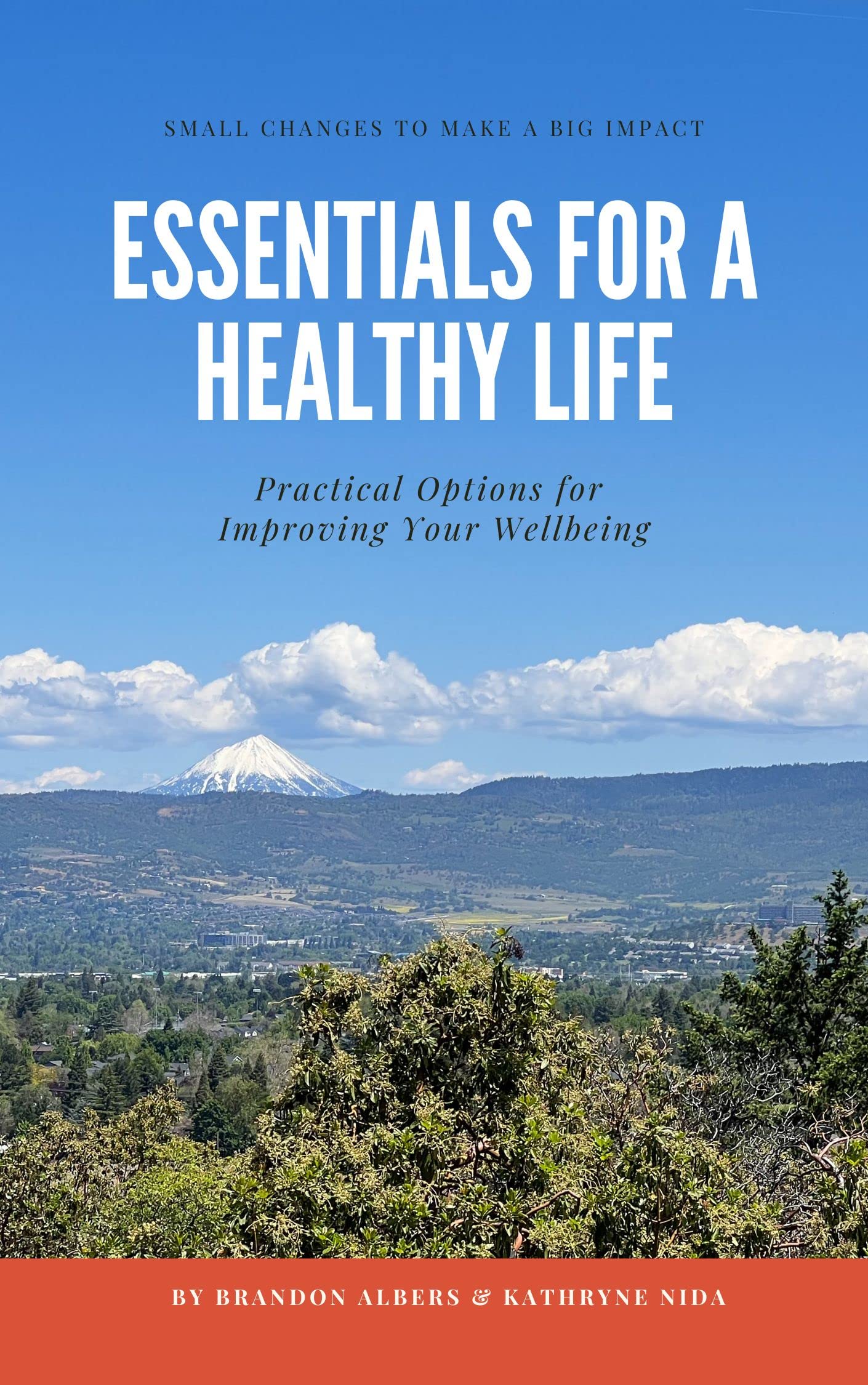 Essentials for a Healthy Life Practical Options for Improving Your