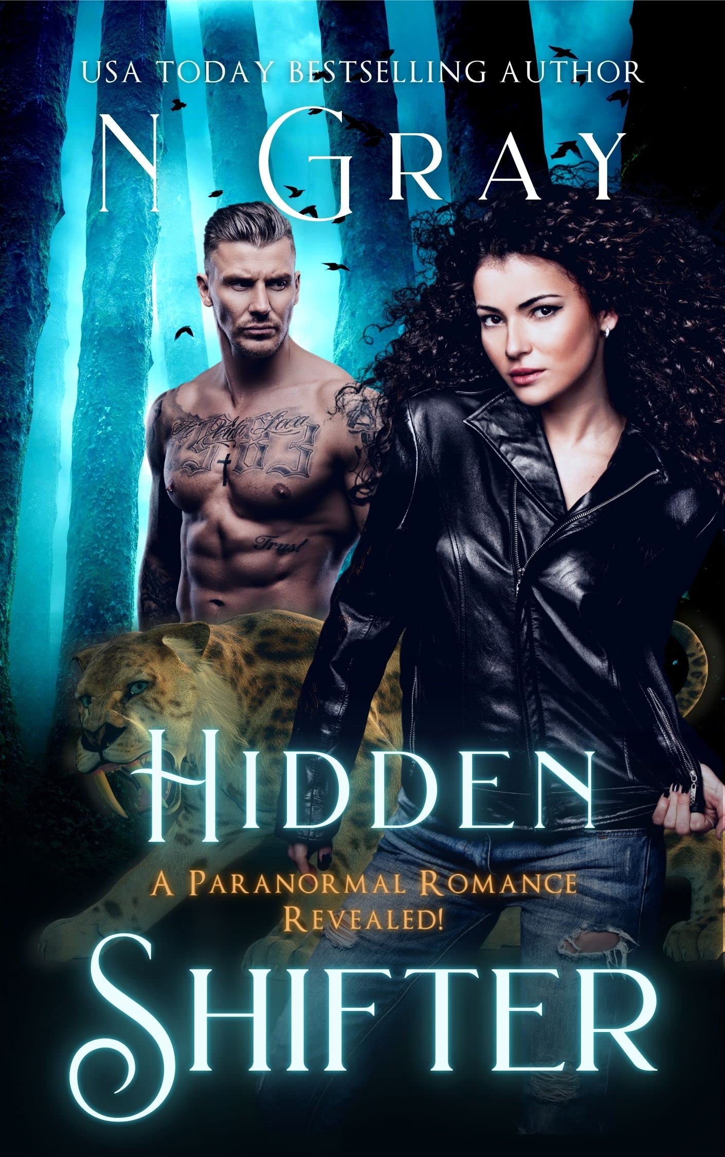 Hidden Shifter book cover