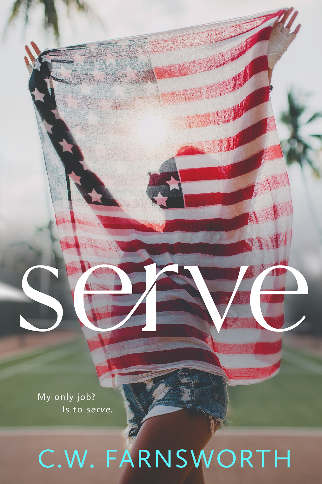 Serve book cover
