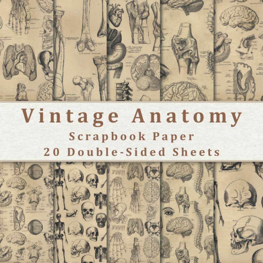 Vintage Anatomy Scrapbook Paper 20 Double Sided Sheets 8.5 x 8.5 for