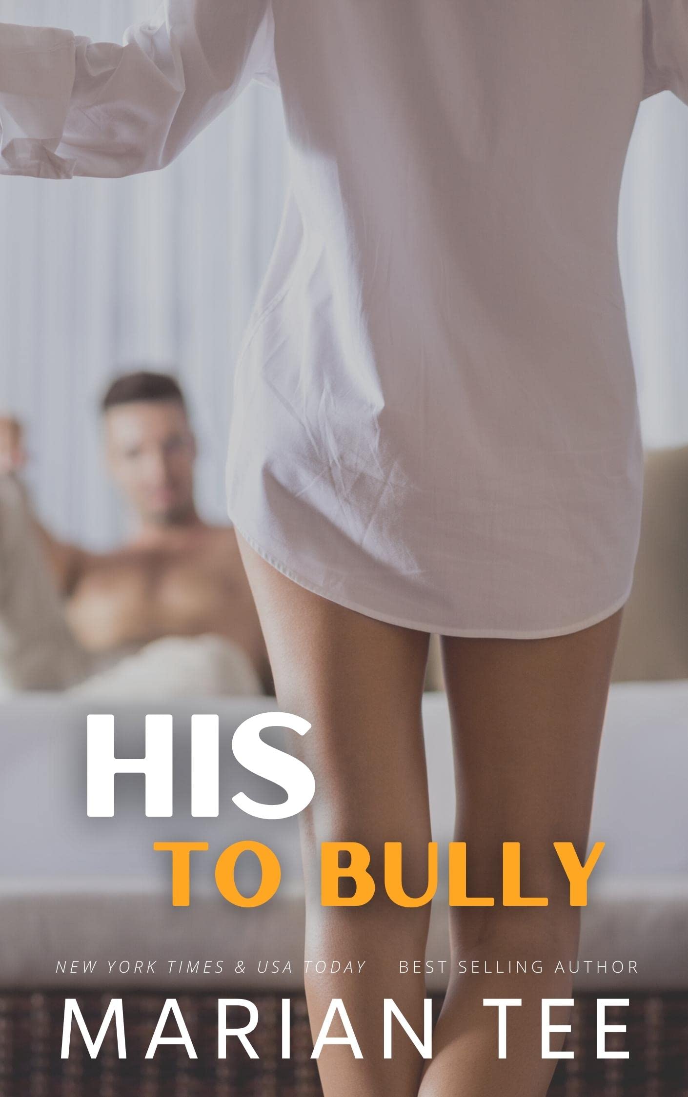 His to Bully book cover