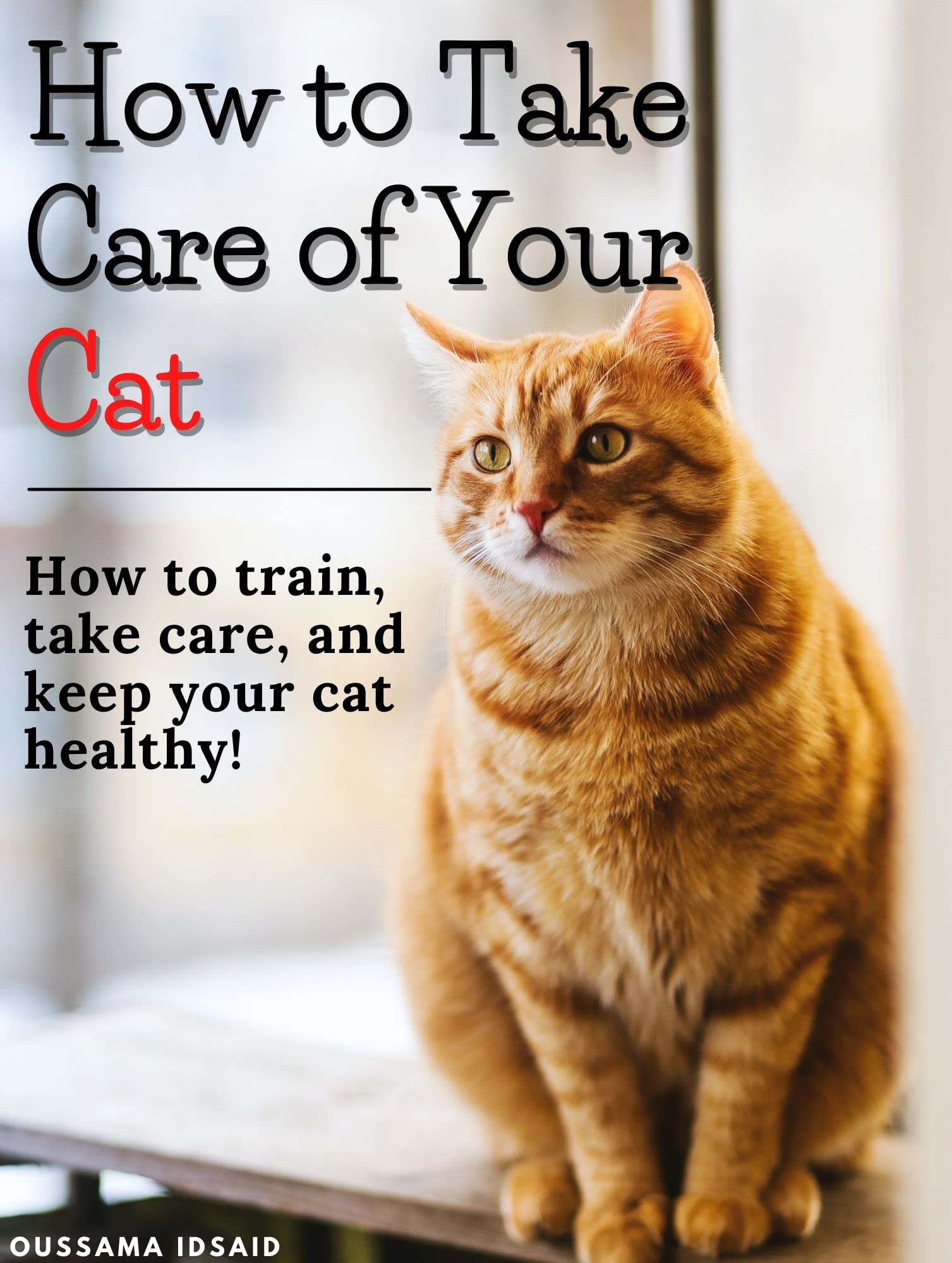 How to Take Care of Your Cat How to train, take care of, and keep your