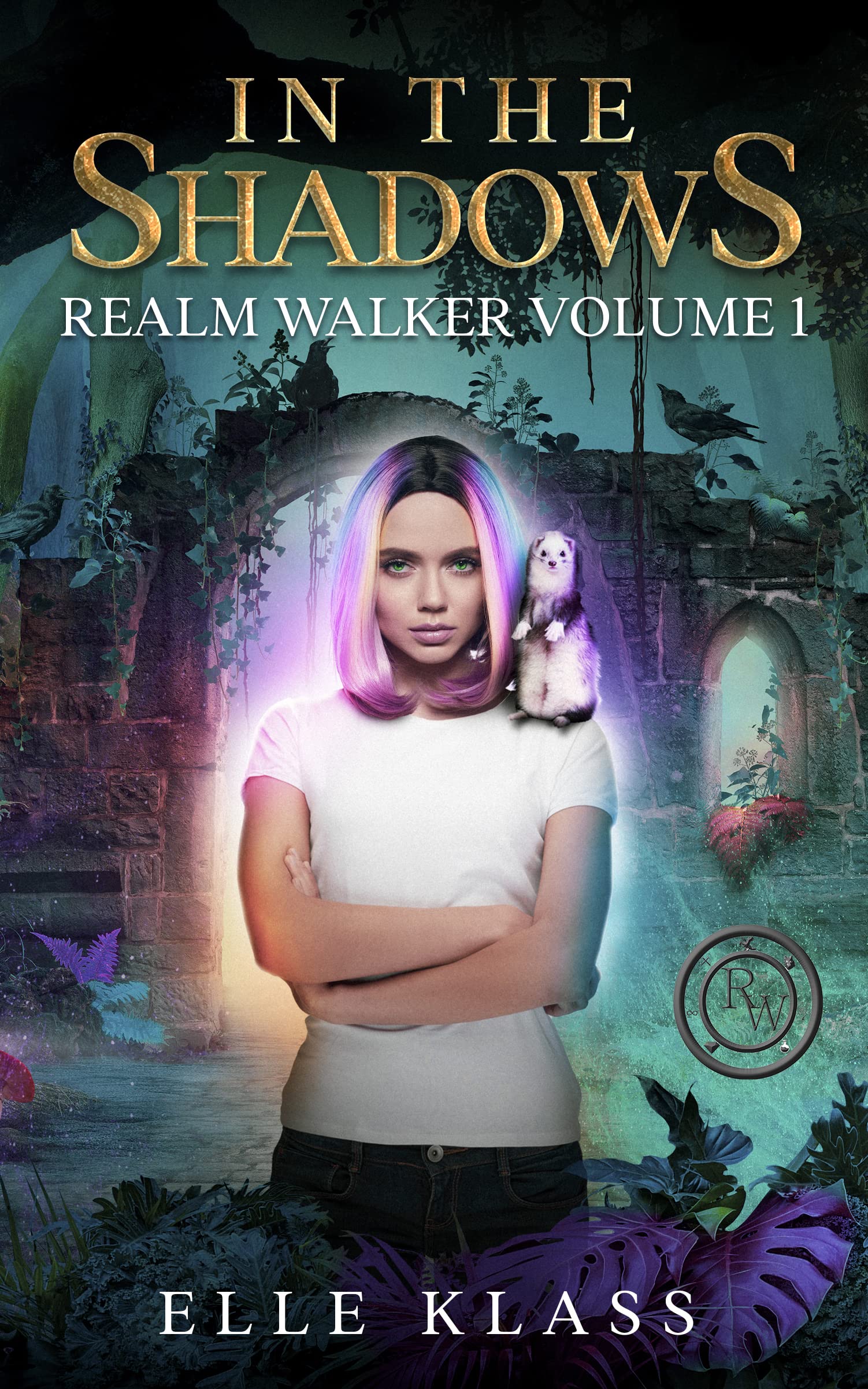In the Shadows (Realm Walker Book 1) by Elle Klass Goodreads