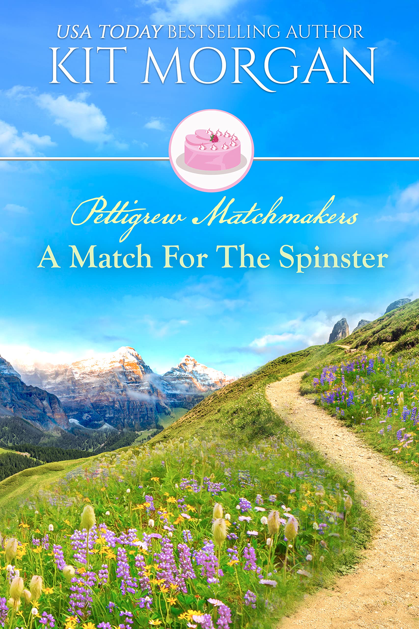 A Match for the Spinster book cover