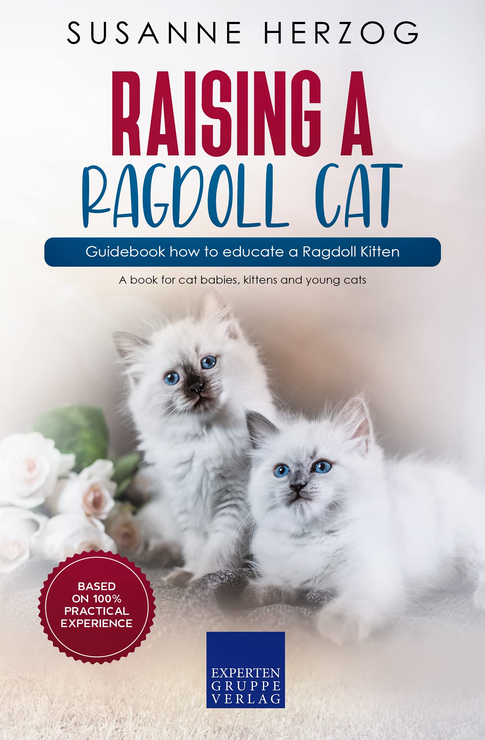 Raising a Ragdoll Cat Guidebook how to educate a Ragdoll Kitten A
