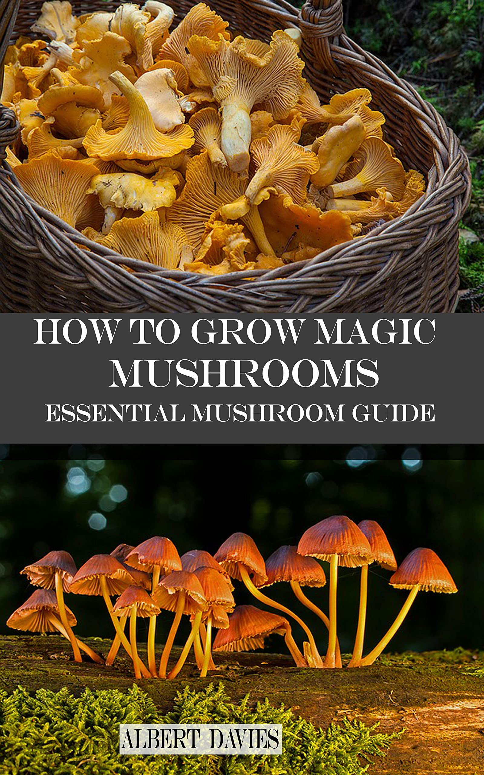 HOW TO GROW MAGIC MUSHROOMS : Essential Mushroom Guide by ALBERT DAVIES
