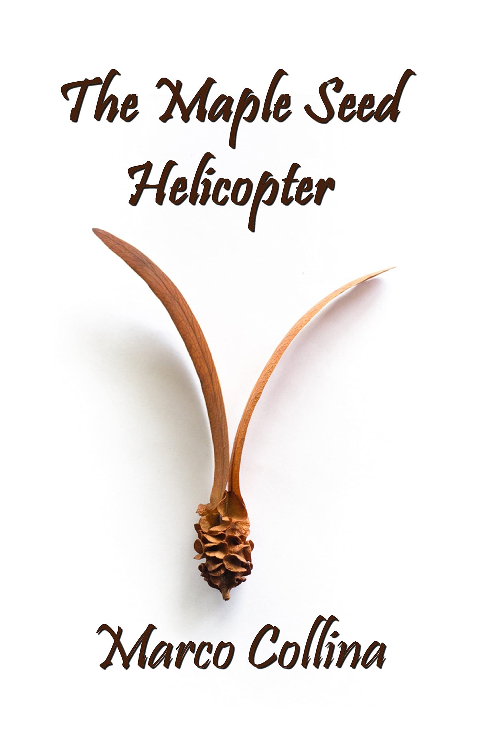 The Maple Seed Helicopter