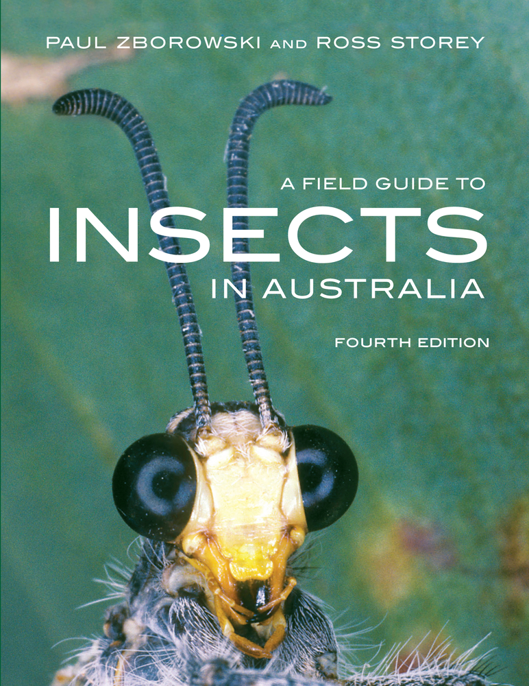 A Field Guide to Insects of Australia by Paul Zborowski | Goodreads