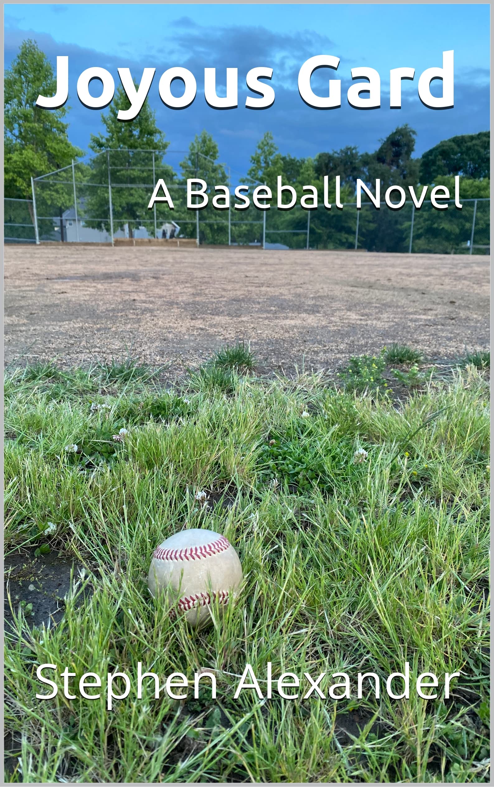 Joyous Gard A Baseball Novel by Stephen Alexander Goodreads
