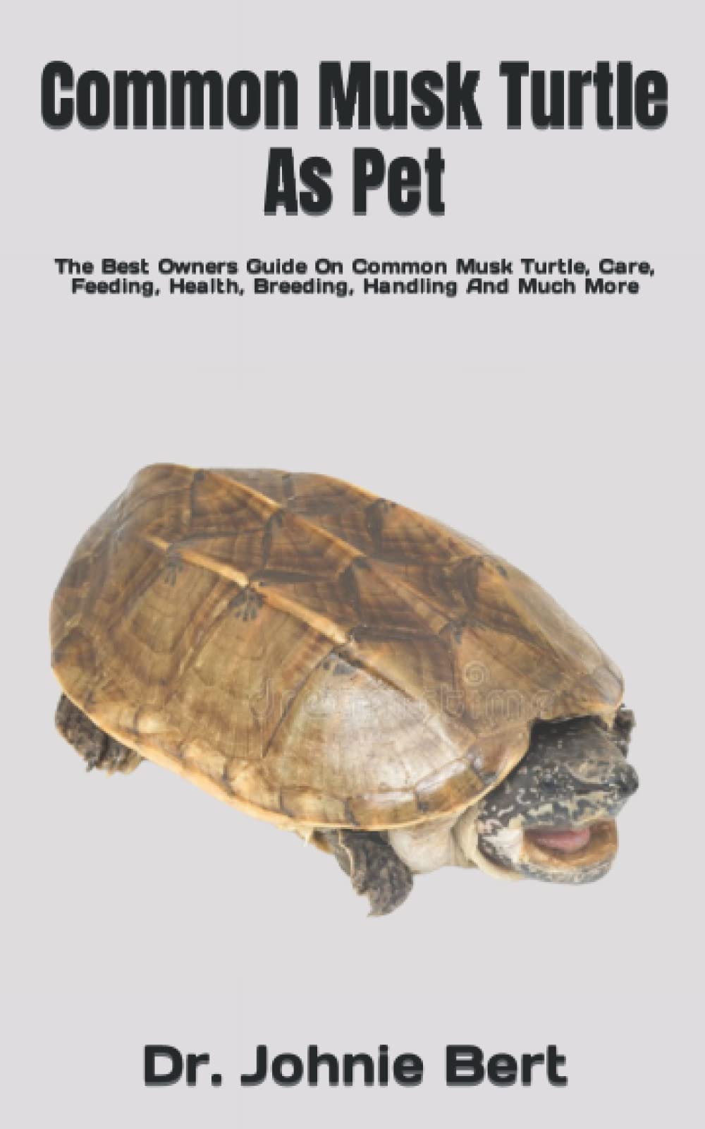 Common Musk Turtle As Pet The Best Owners Guide On Common Musk Turtle
