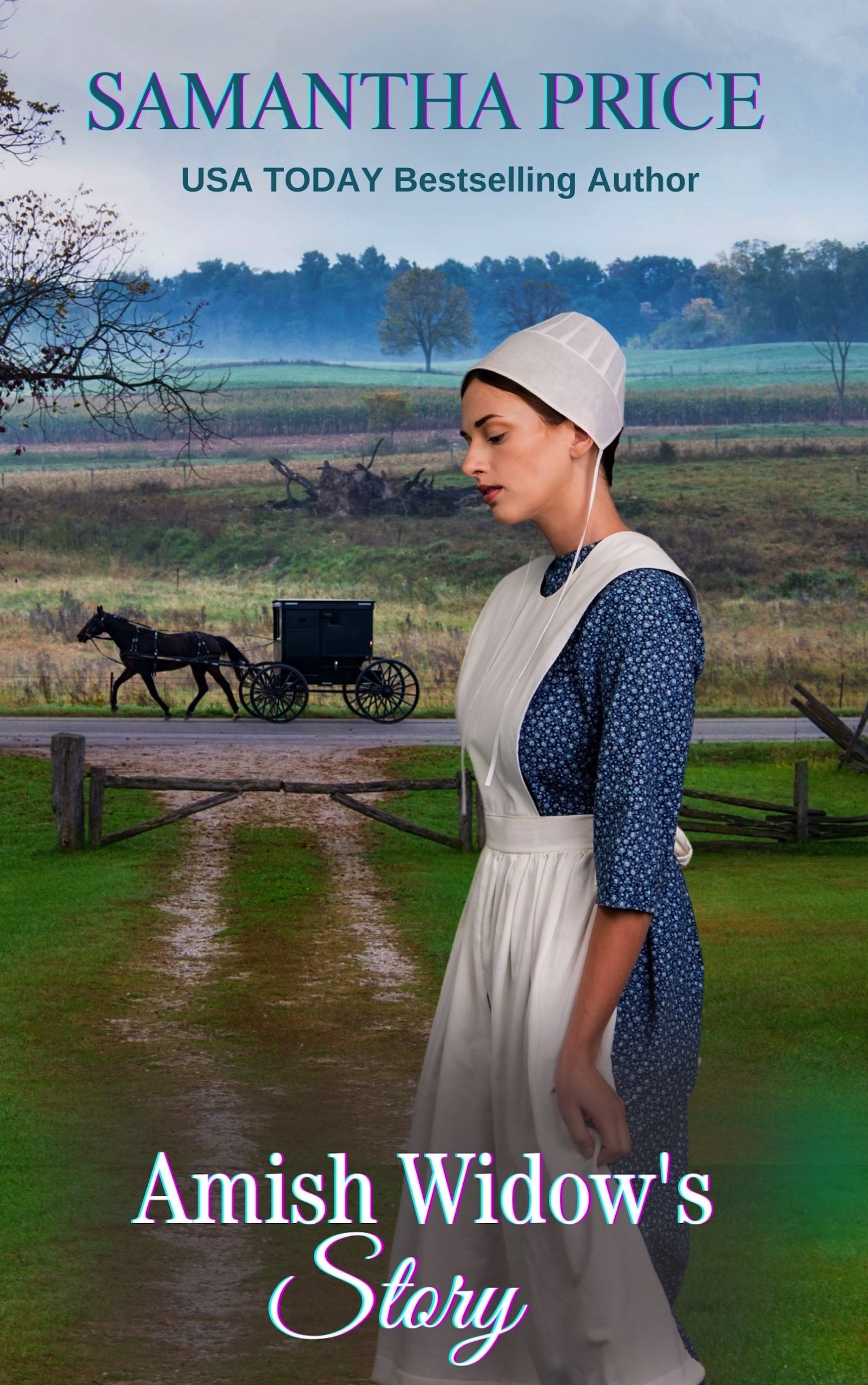 Amish Widow's Story