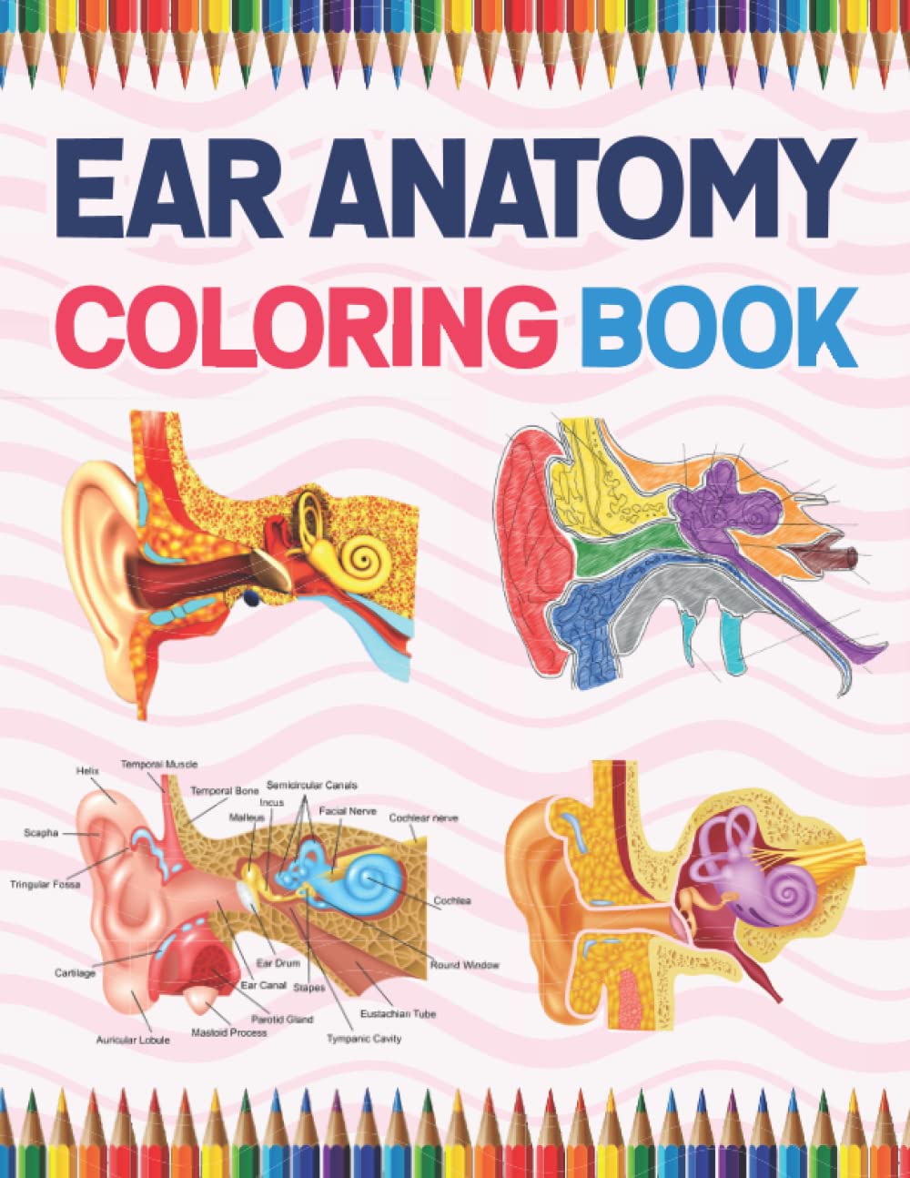 Ear Anatomy Coloring Book: Incredibly Detailed Self-Test Human Ear ...