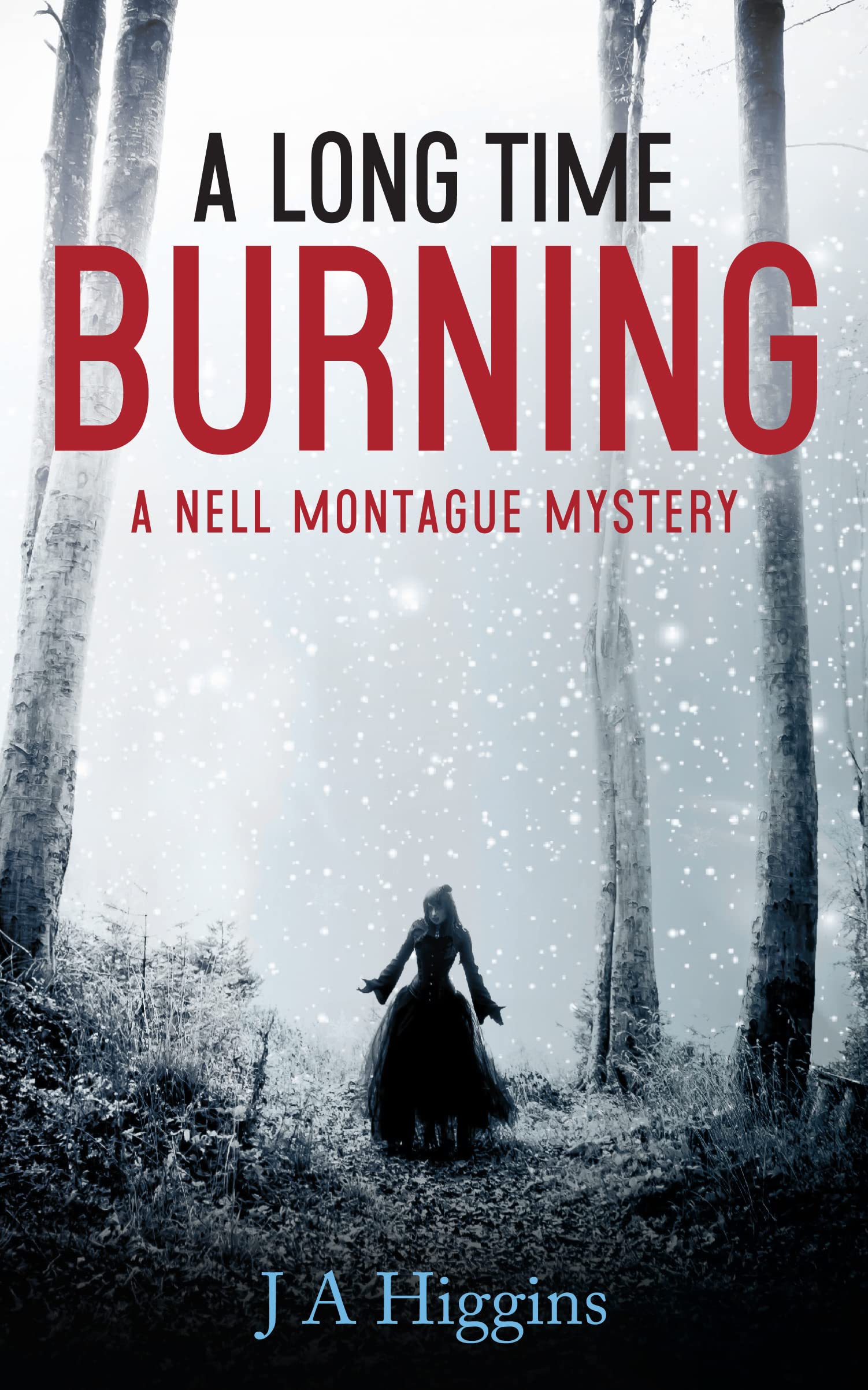 A Long Time Burning: A Nell Montague Mystery