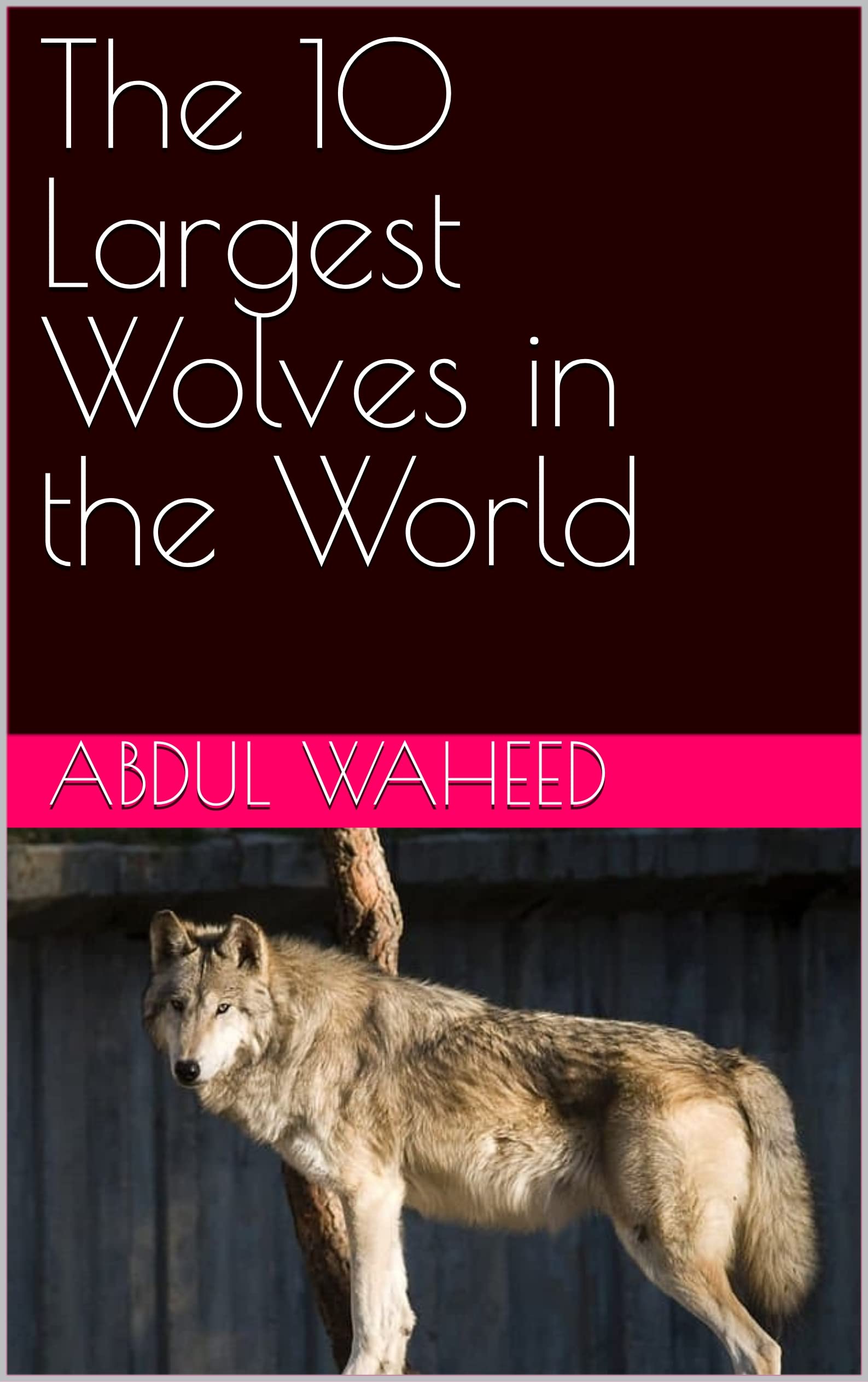 The 10 Largest Wolves in the World by Abdul Waheed Goodreads