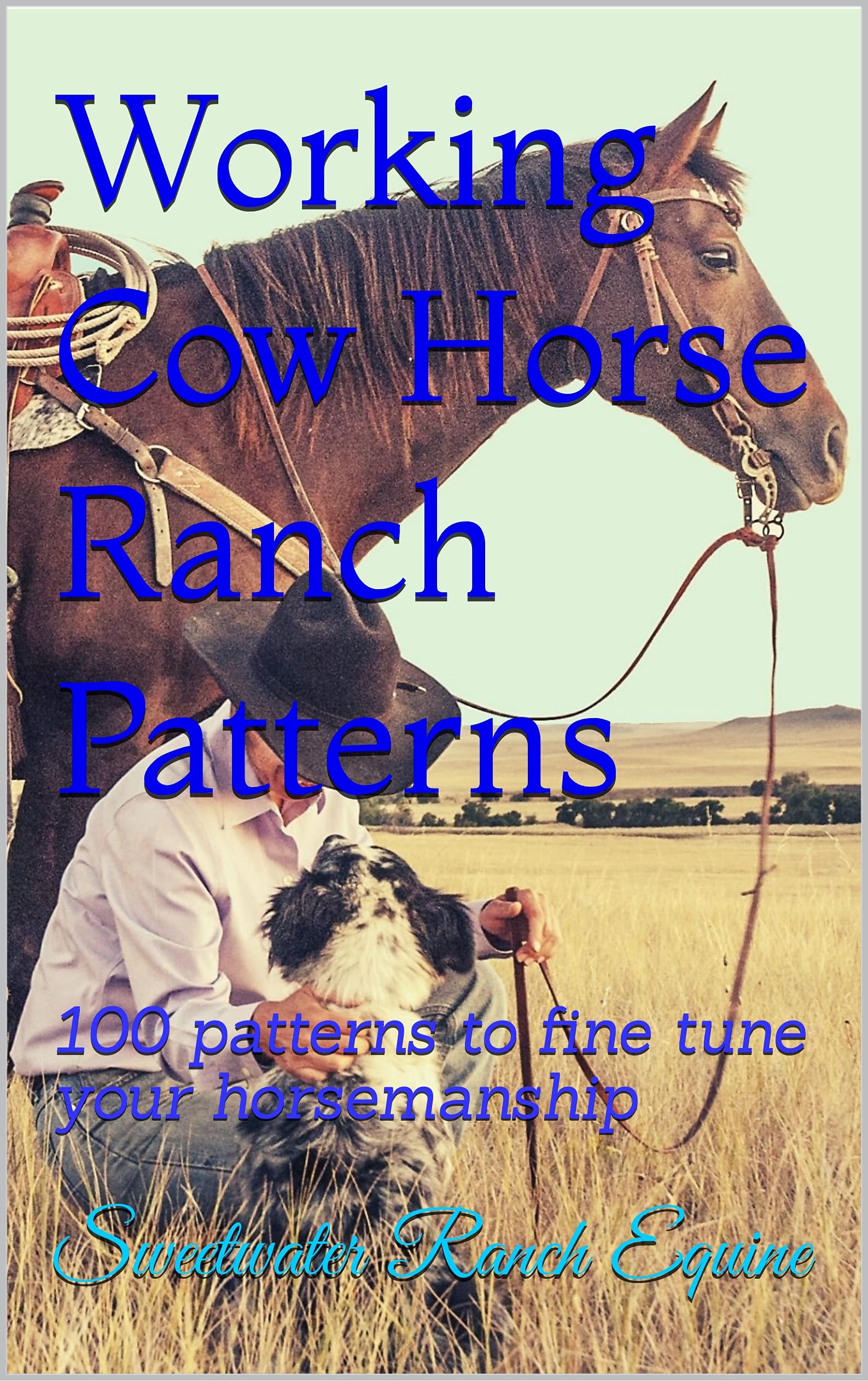 Working Cow Horse Ranch Patterns 100 patterns to fine tune your