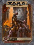 TORG Eternity book cover