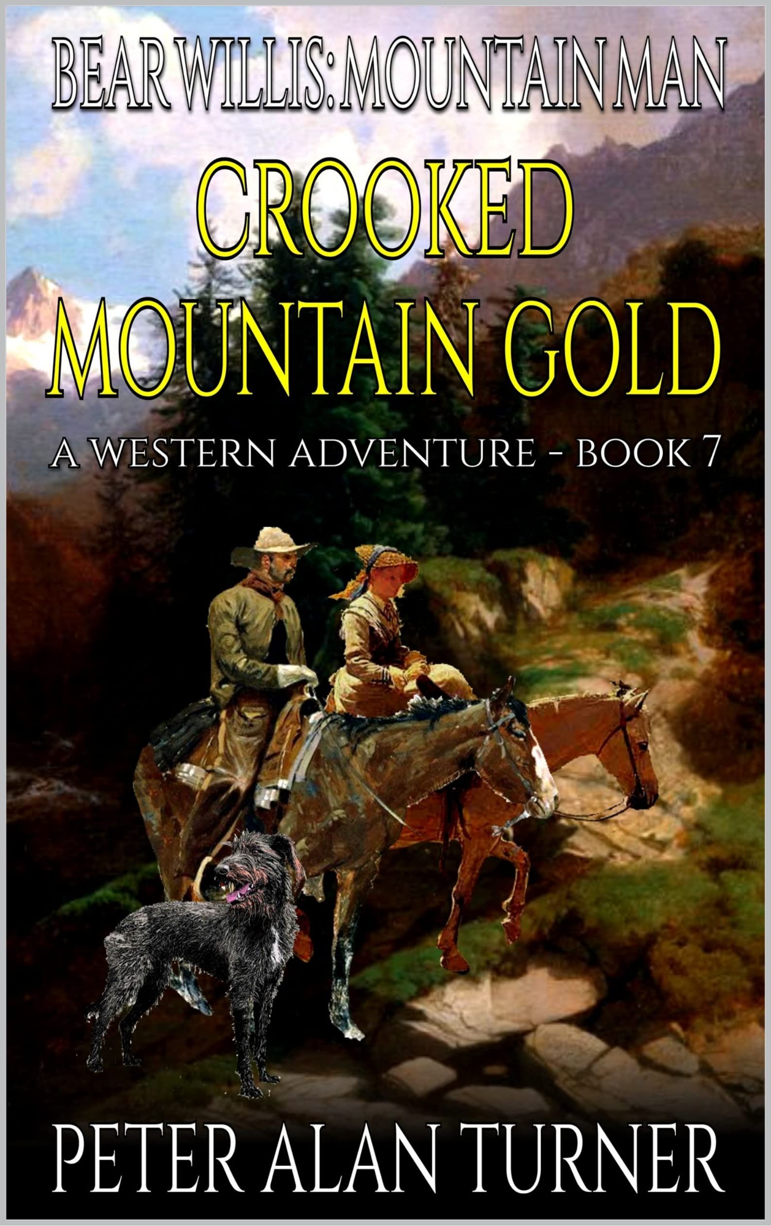 Bear Willis book cover