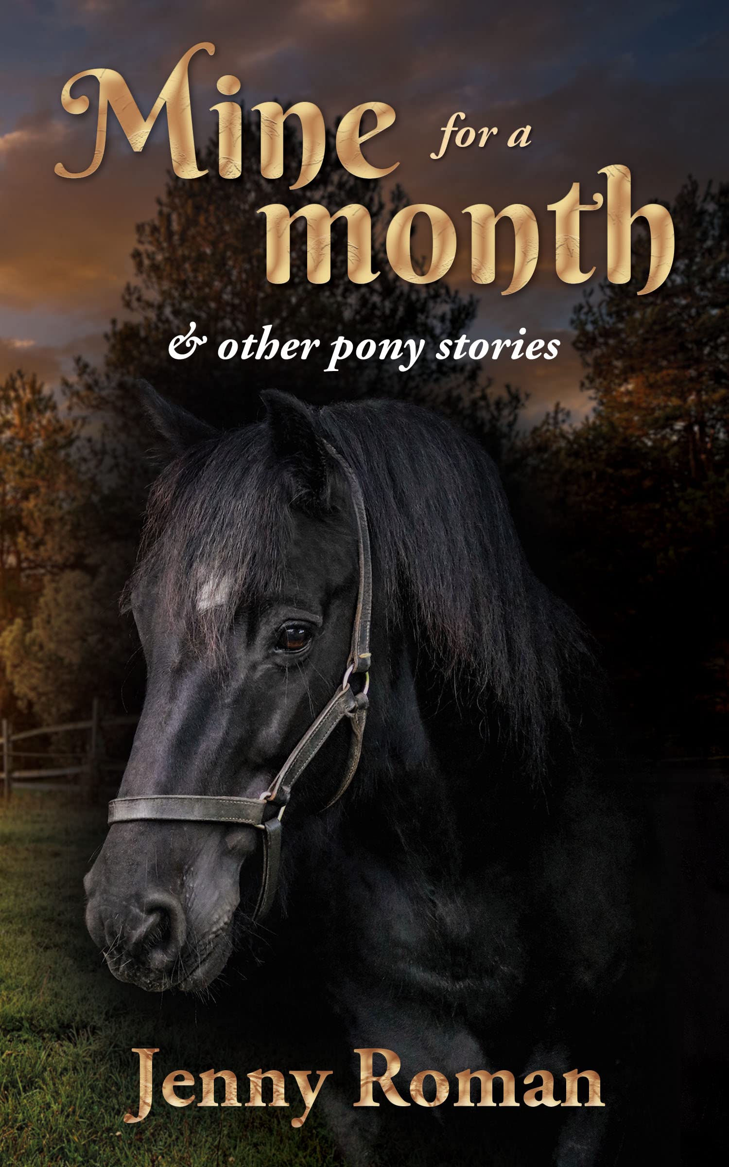 Mine for a Month: & other pony stories