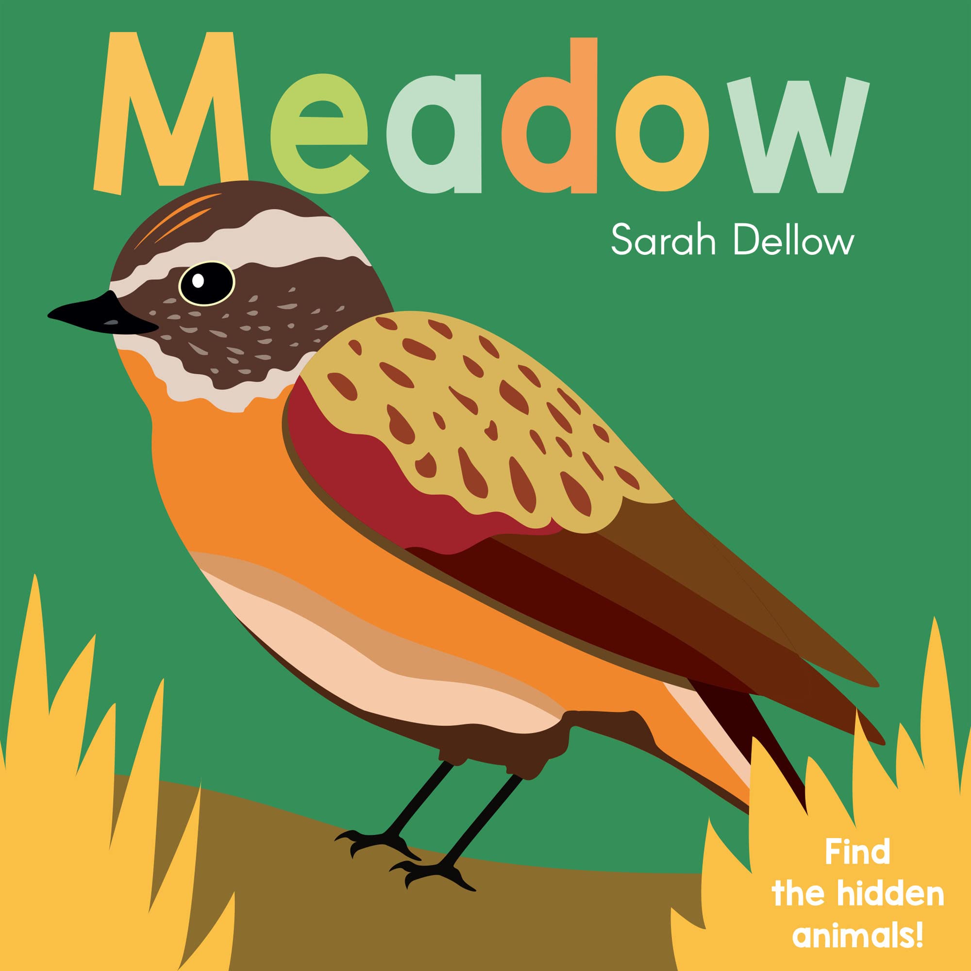 Now You See It! Meadow