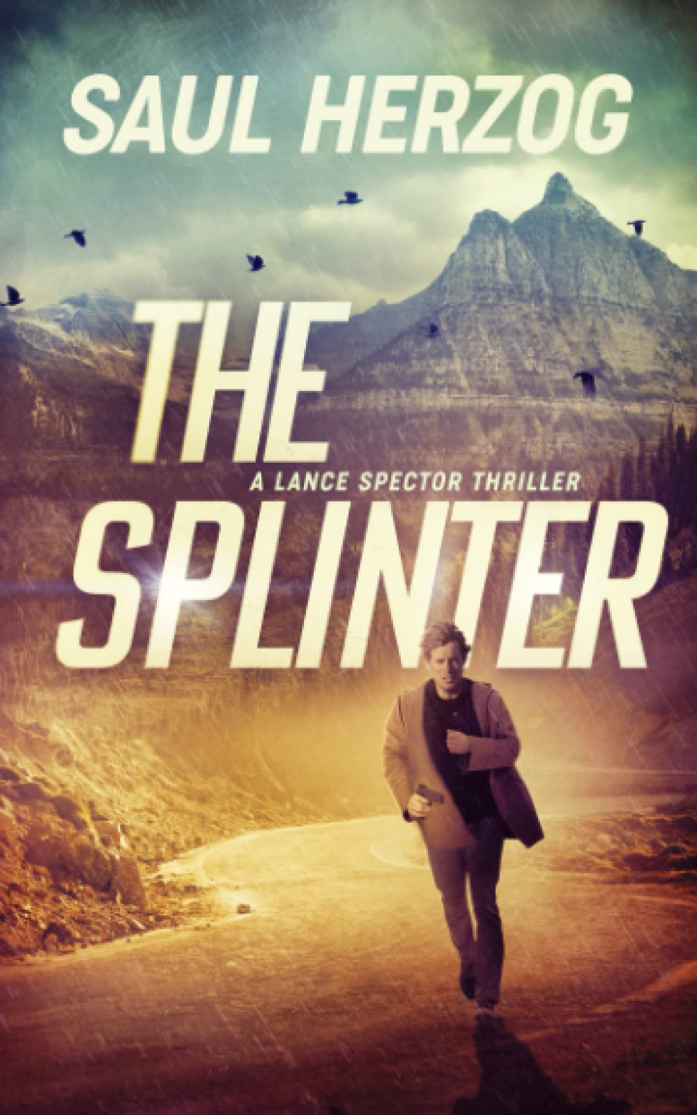 The Splinter: American Assassin by Saul Herzog | Goodreads