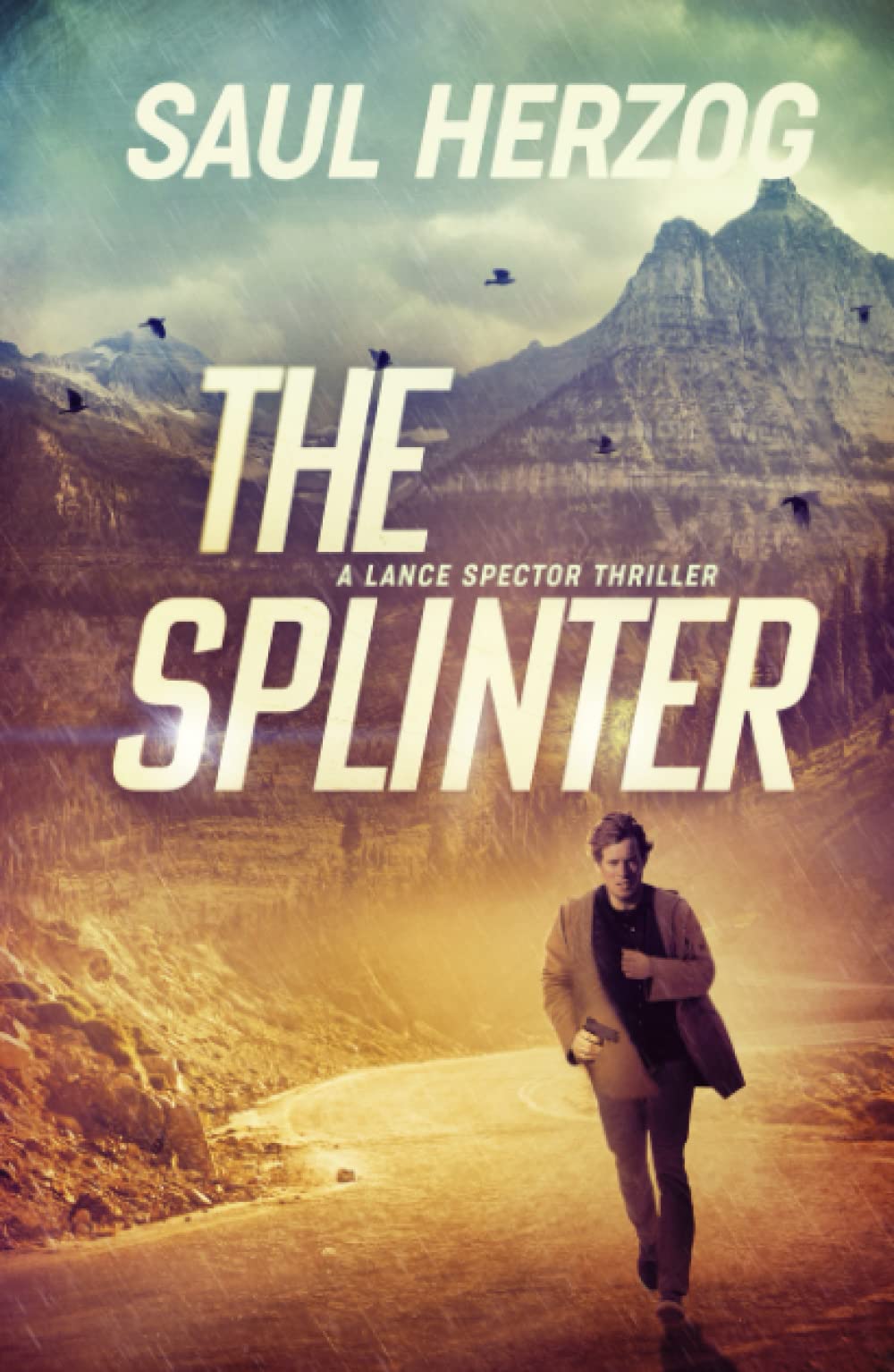 The Splinter: American Assassin by Saul Herzog | Goodreads
