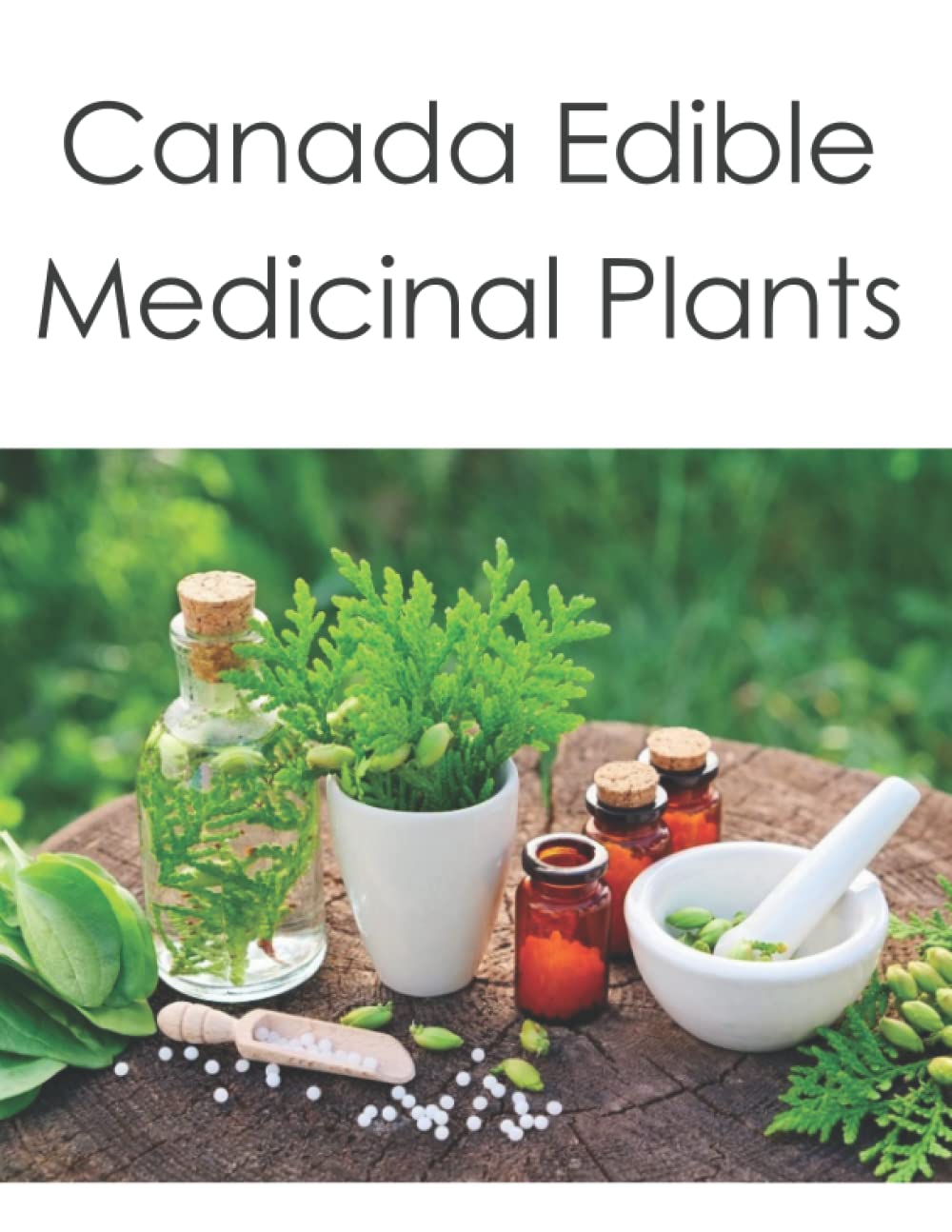 Edible and Medicinal Plants Medicinal Plants Canada Medicinal Herbs