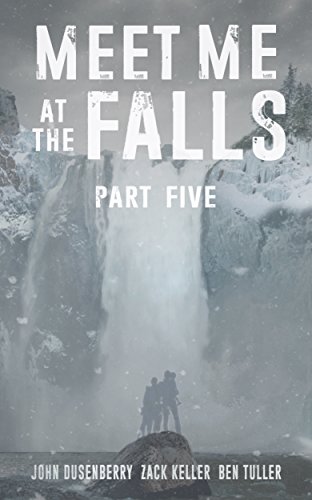 Meet Me At The Falls book cover