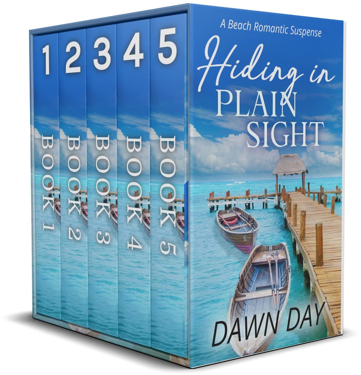 Hiding in Plain Sight - Complete Series Collection