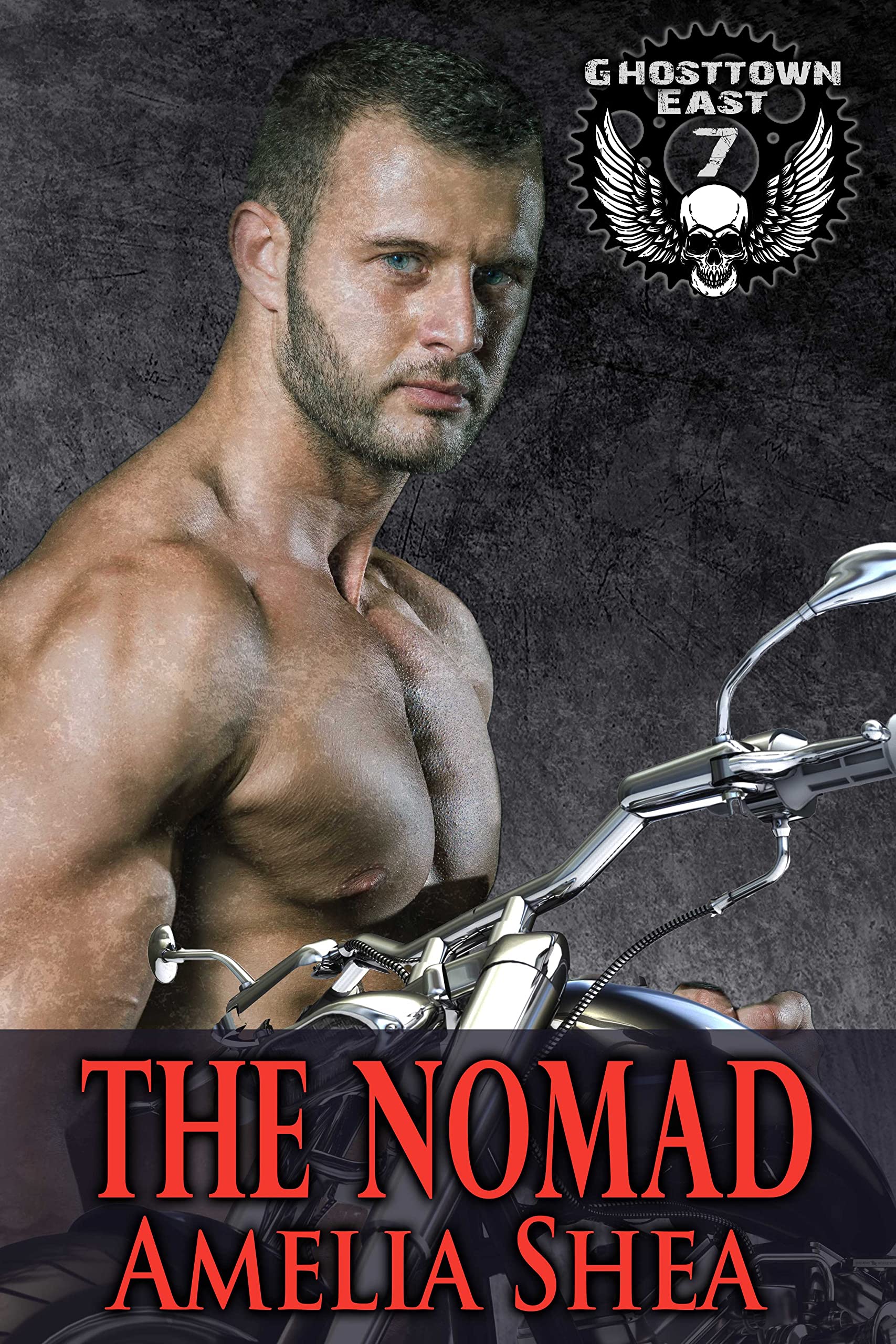 The Nomad book cover