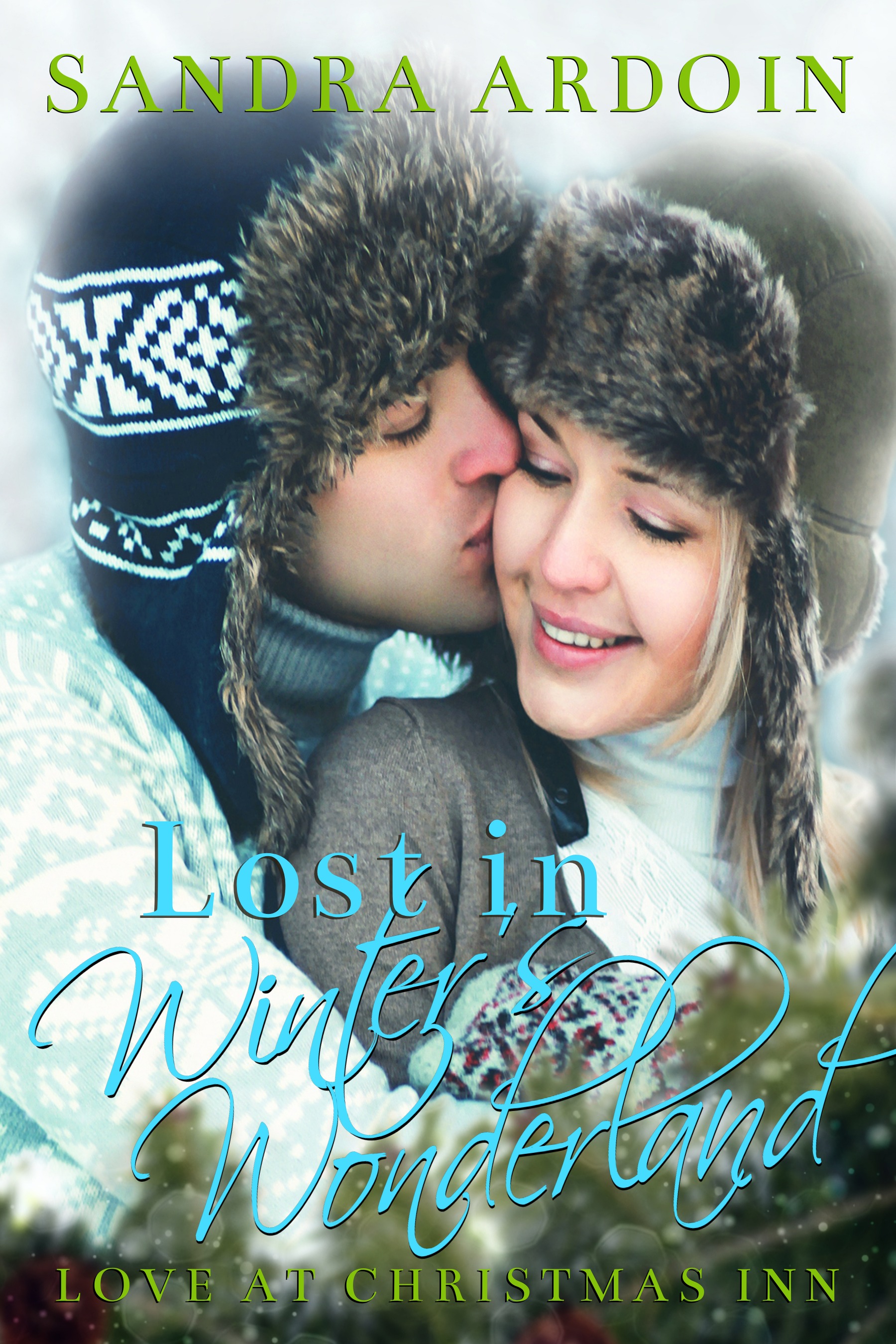 Lost in Winter's Wonderland book cover