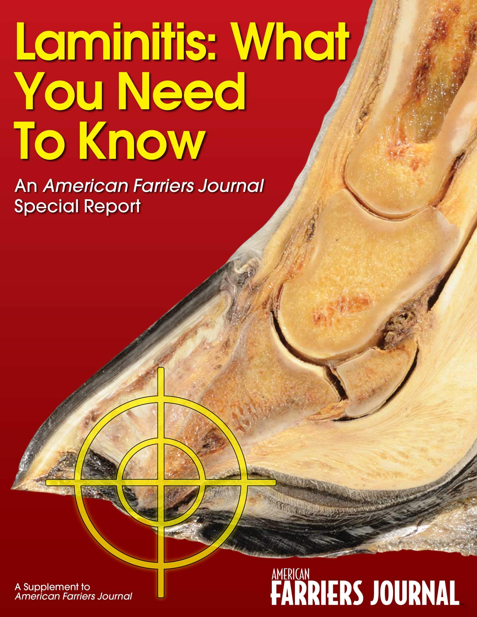 Laminitis What you Need to Know by American Farriers Journal Magazine