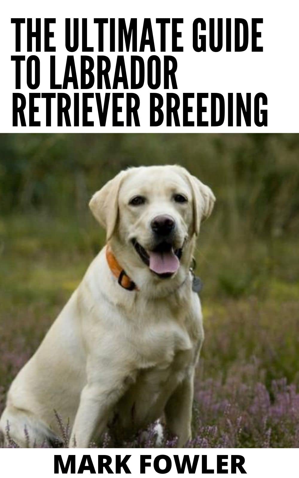 The Ultimate Guide To Labrador Retriever Breeding Everything You Need To Know by Mark Fowler