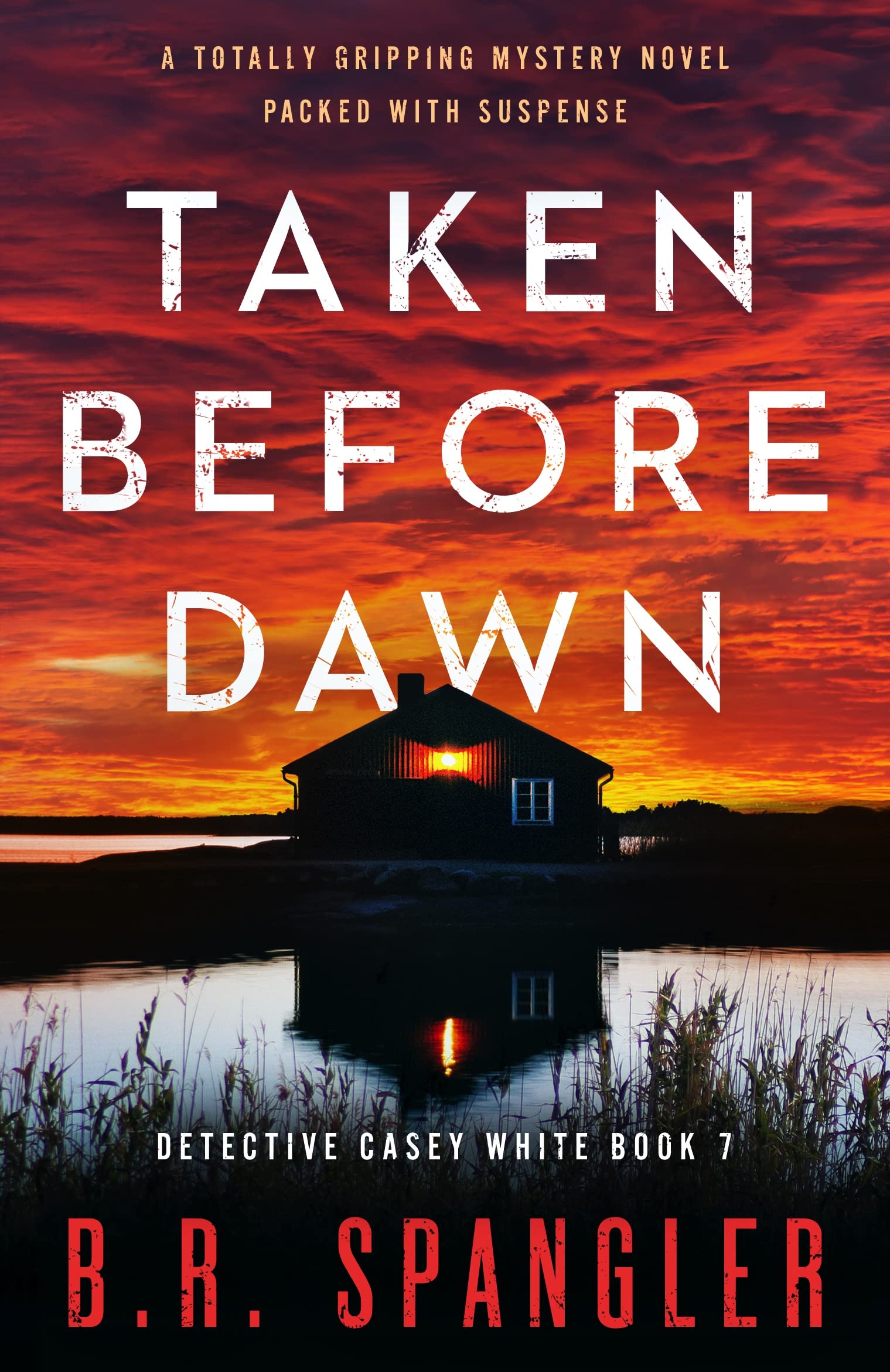 Taken Before Dawn