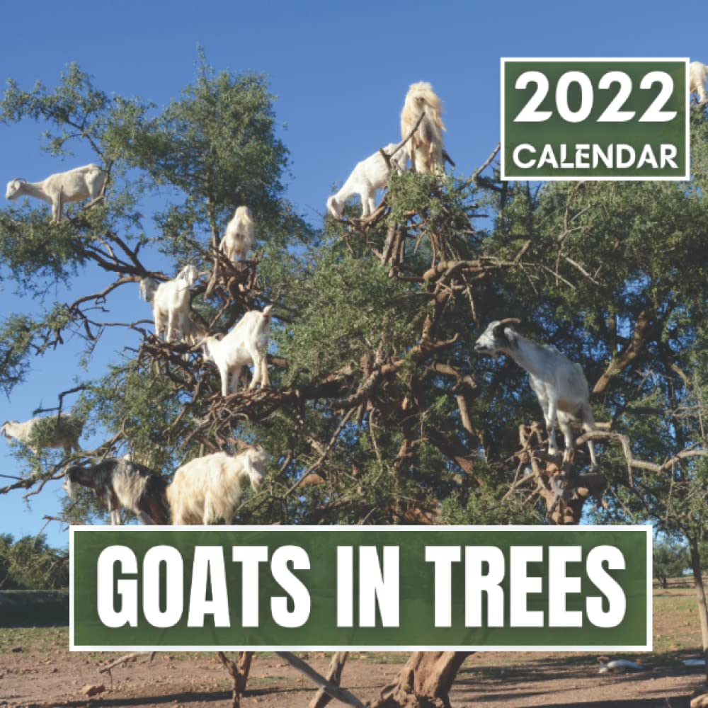 Goats In Trees Calendar 2022 Beautiful Goats In Trees Photos Perfect 