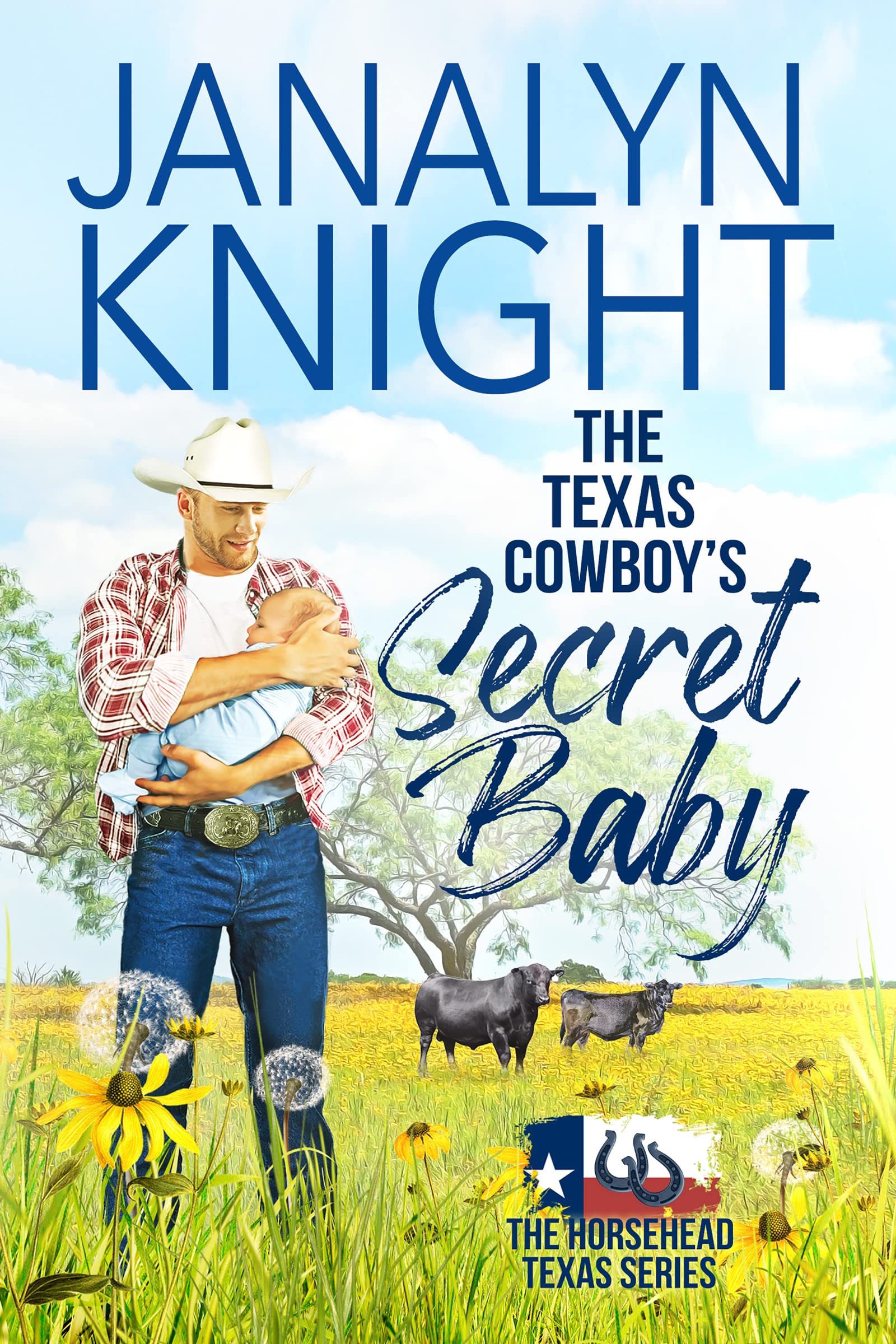 The Texas Cowboy's Secret Baby