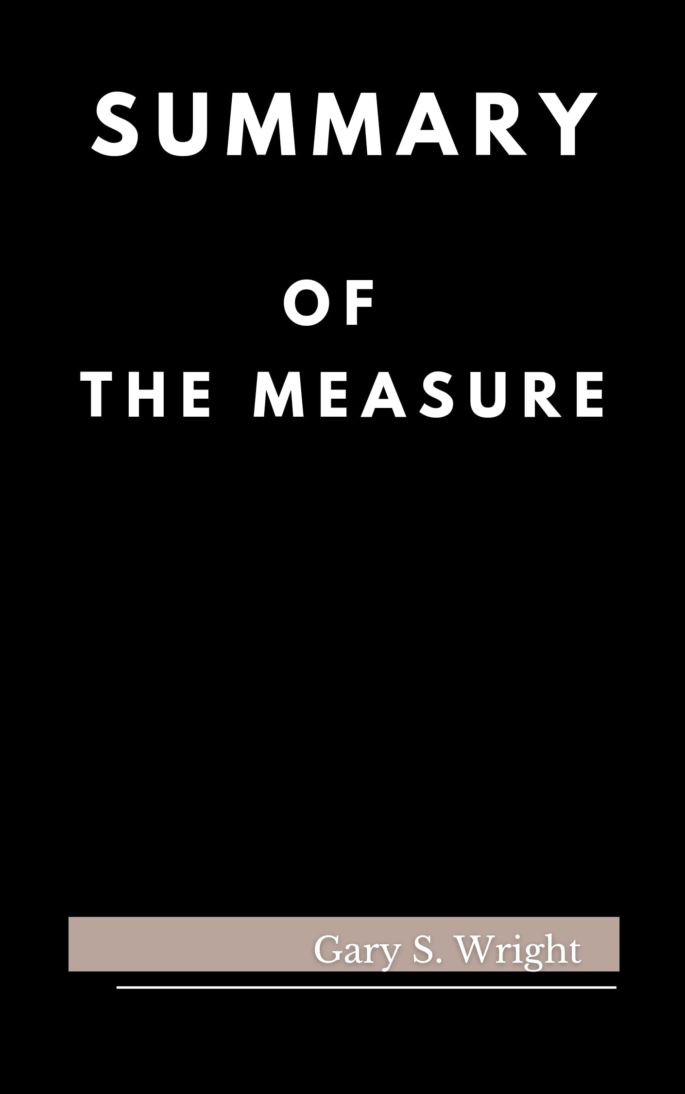 the measure a novel book review