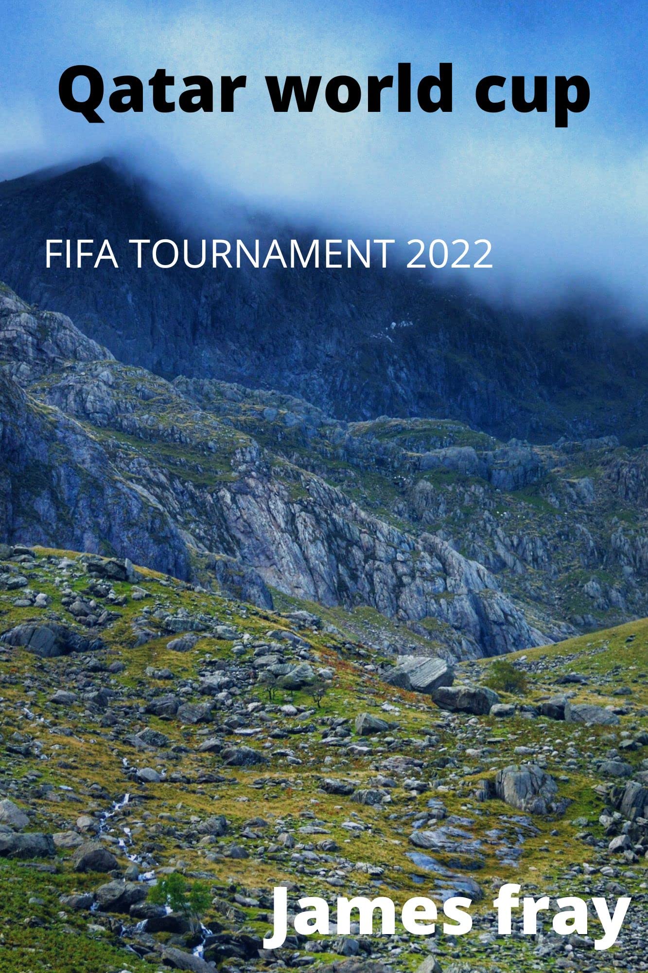 Qatar world cup FIFA tournament 2022 by james fray Goodreads