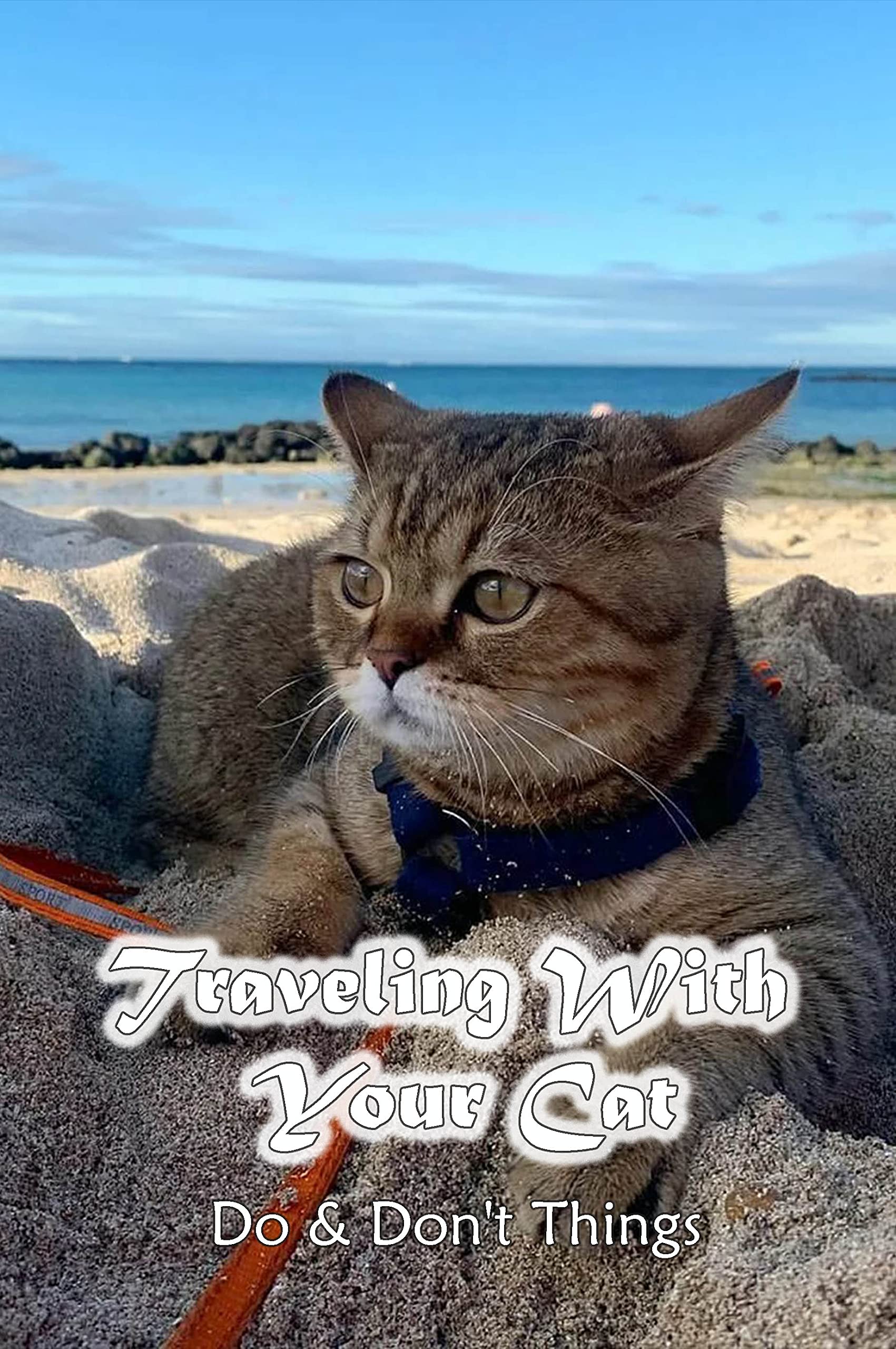 Traveling With Your Cat Do & Don't Things How To Travel Long