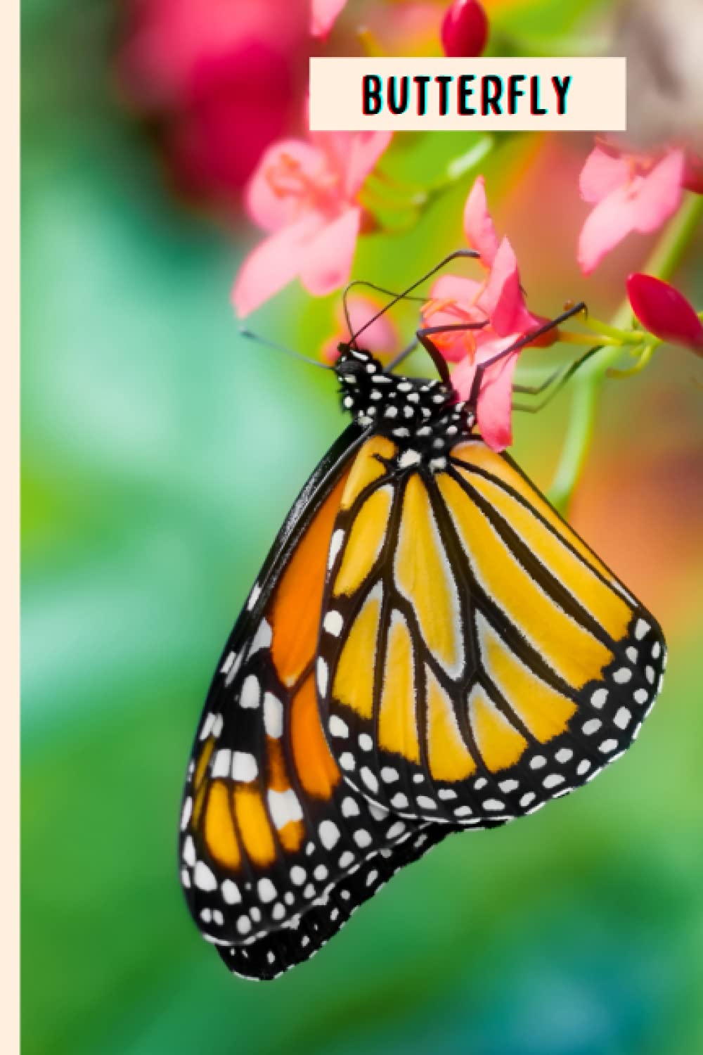 Butterfly Funny Wide Ruled Notebook Gift For Butterfly Lovers Perfect Butterfly Gift On