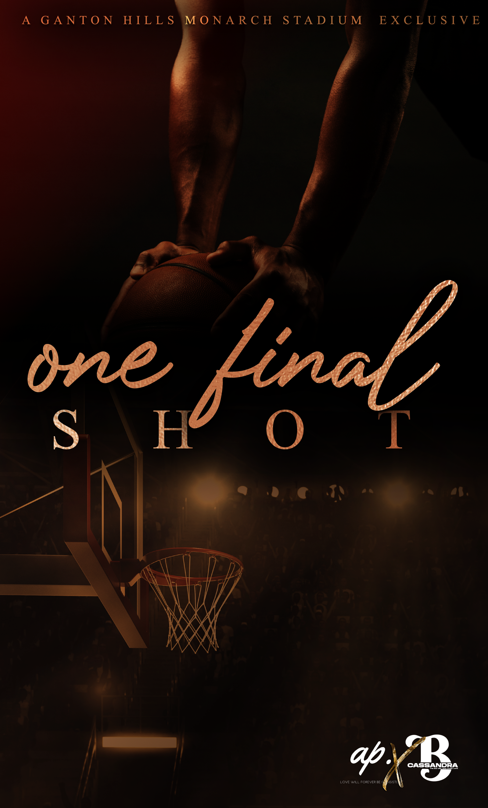 One Final Shot book cover