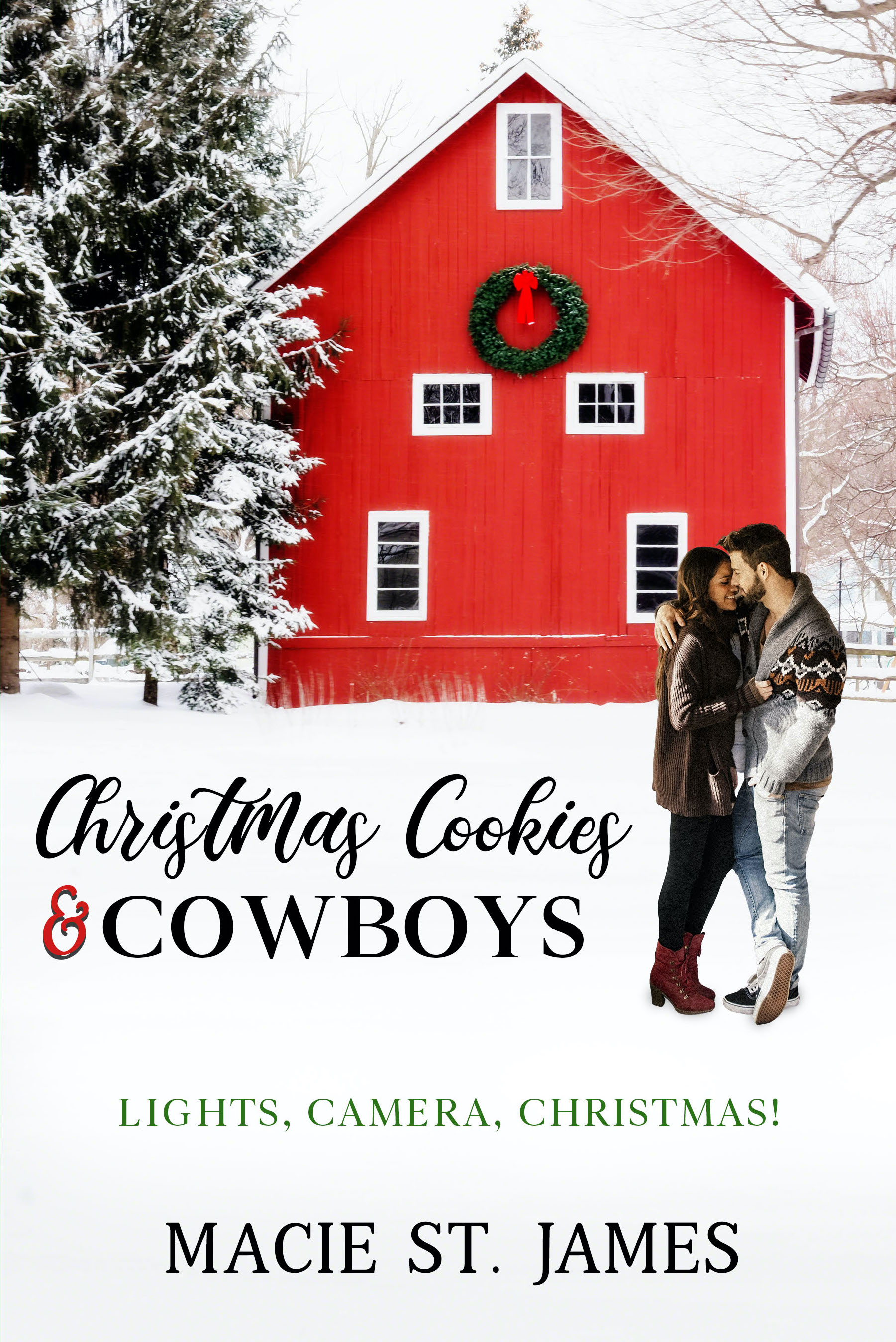 Lights, Camera, Christmas book cover 1