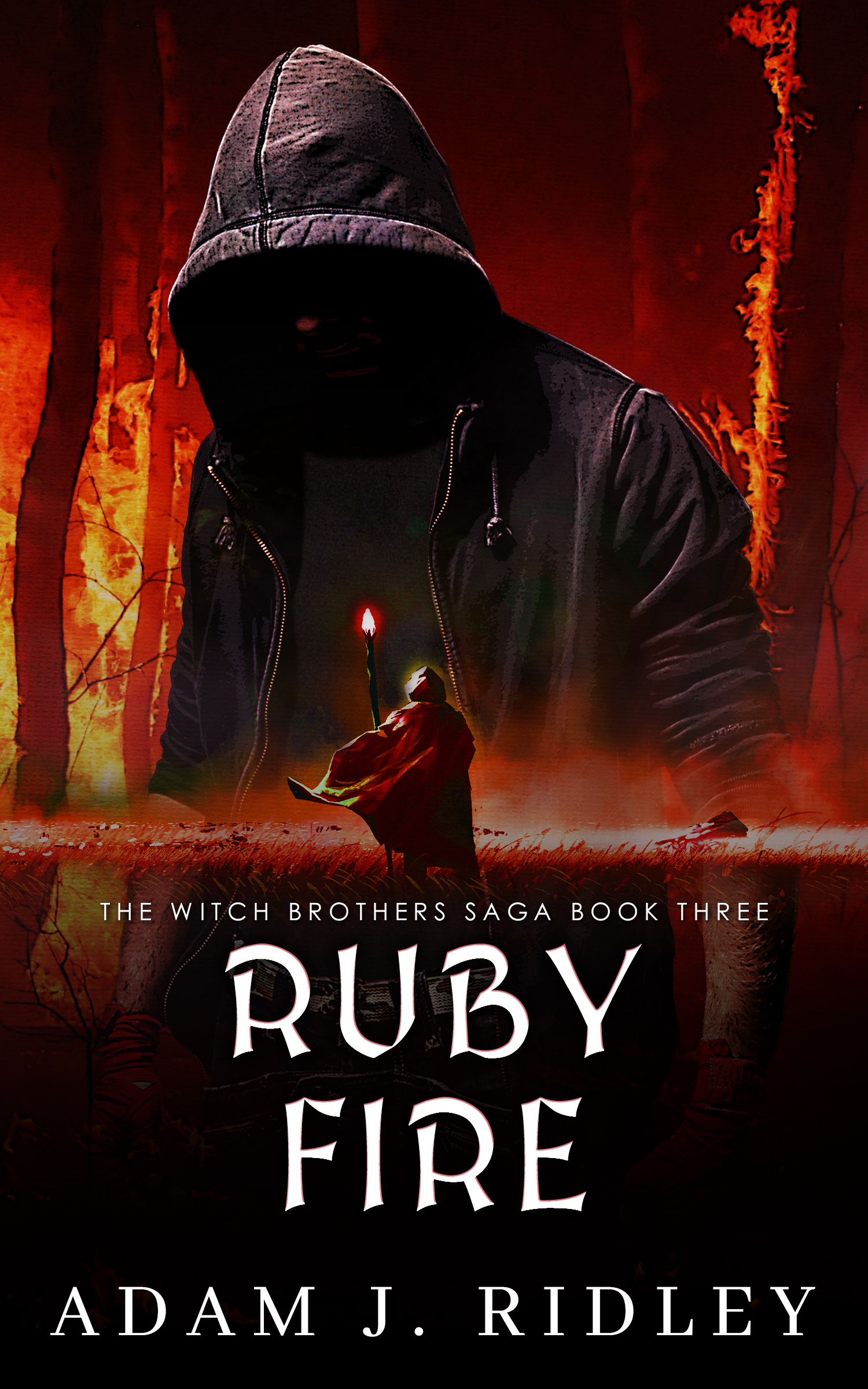 The Witch Brothers Saga book cover 3