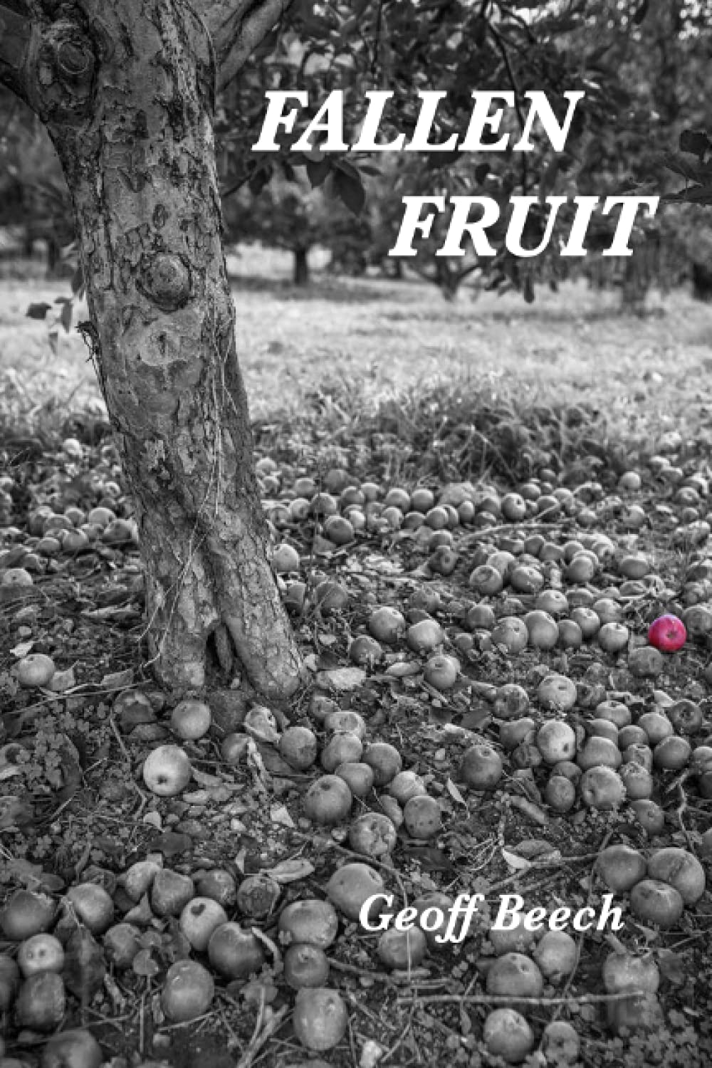 FALLEN FRUIT by Geoff Beech Goodreads