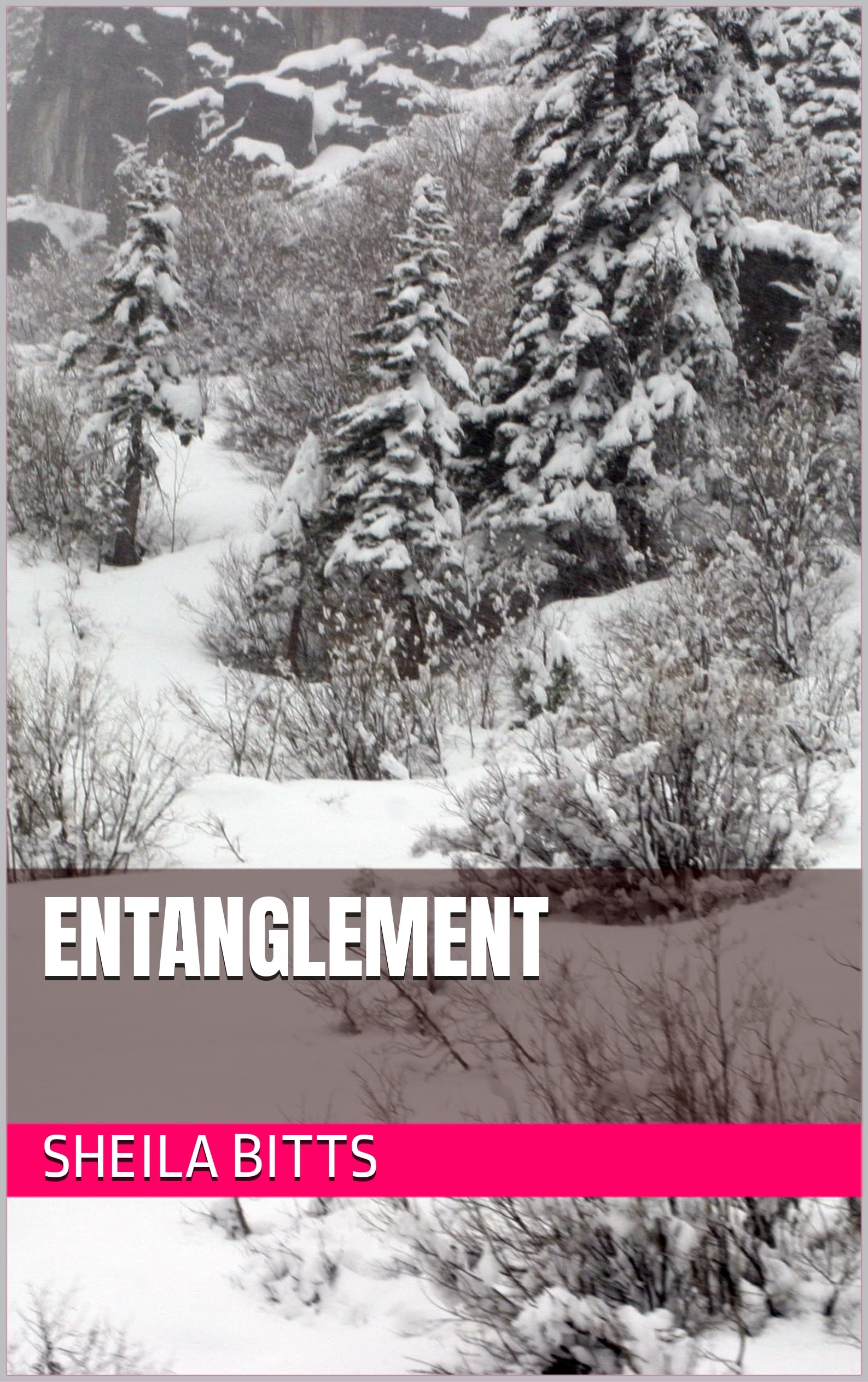 Entanglement