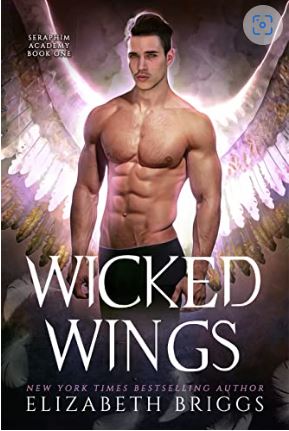 Wicked Wings (Seraphim Academy #1)